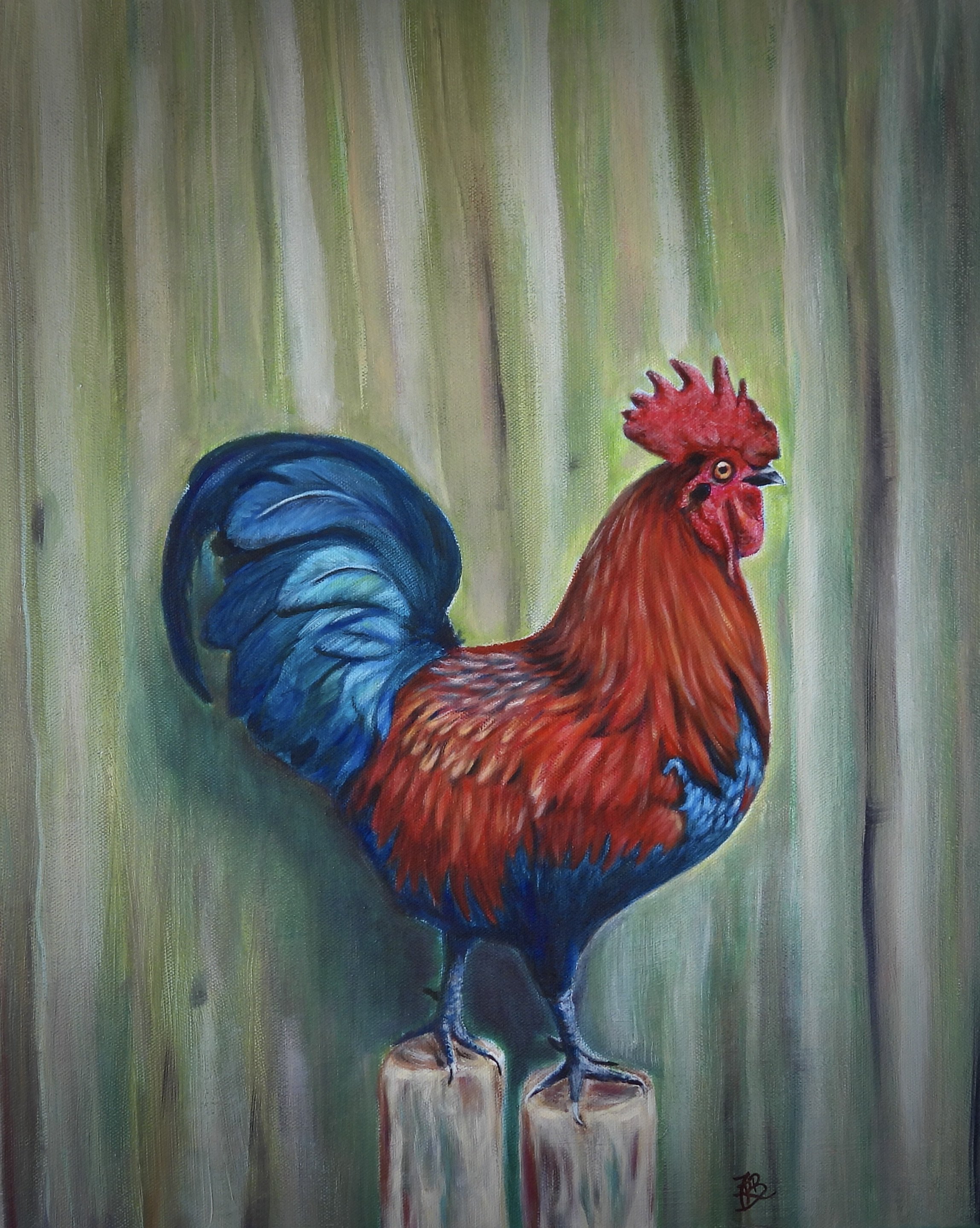 Red Junglefowl Rooster