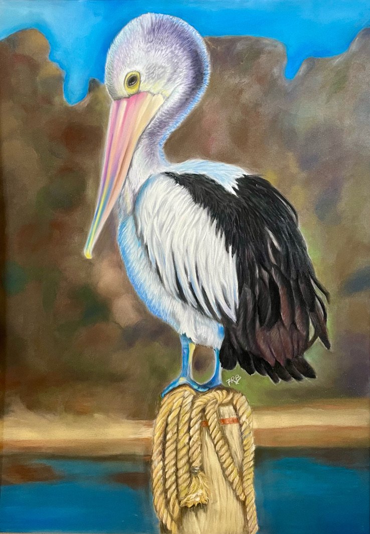 Pelican Bird: Soft Pastels and Pan Pastels on CF Pastel Mat, Framed 670x770mm