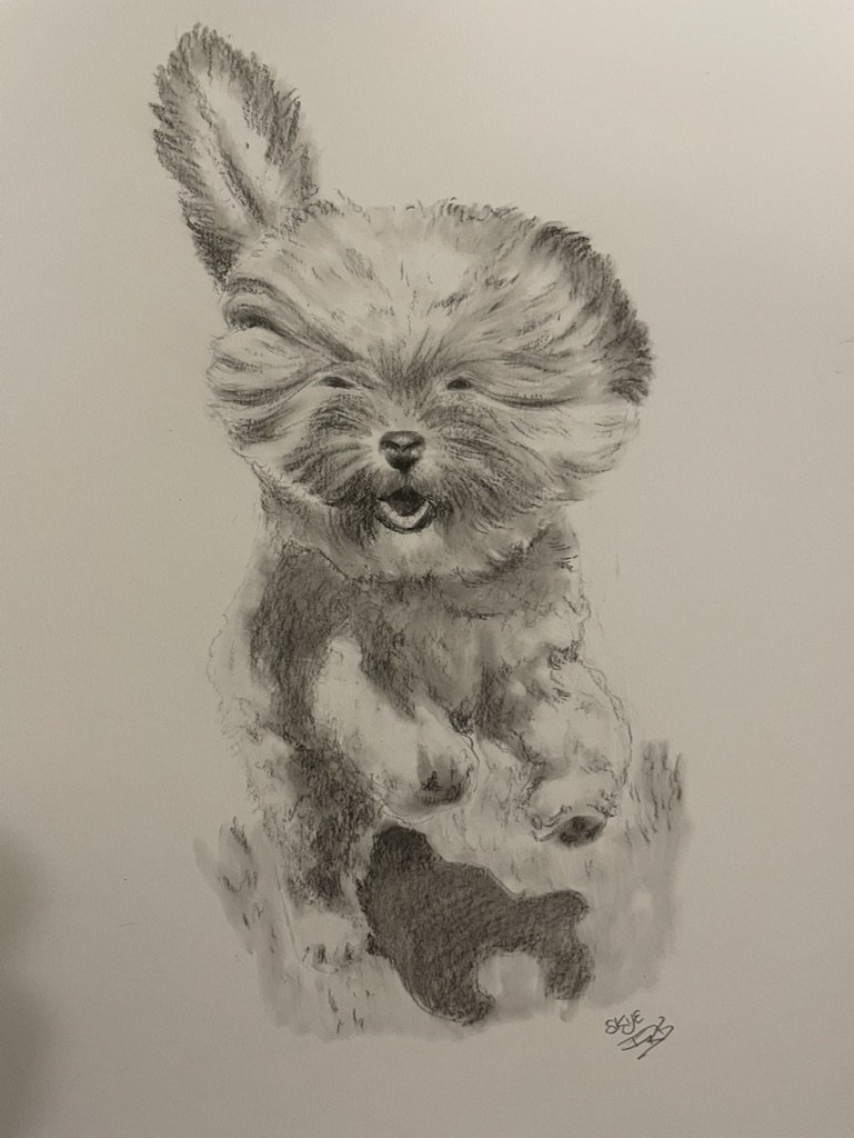 Sketch Daily: My girl Skye
Graphite on 170gsm sketch book