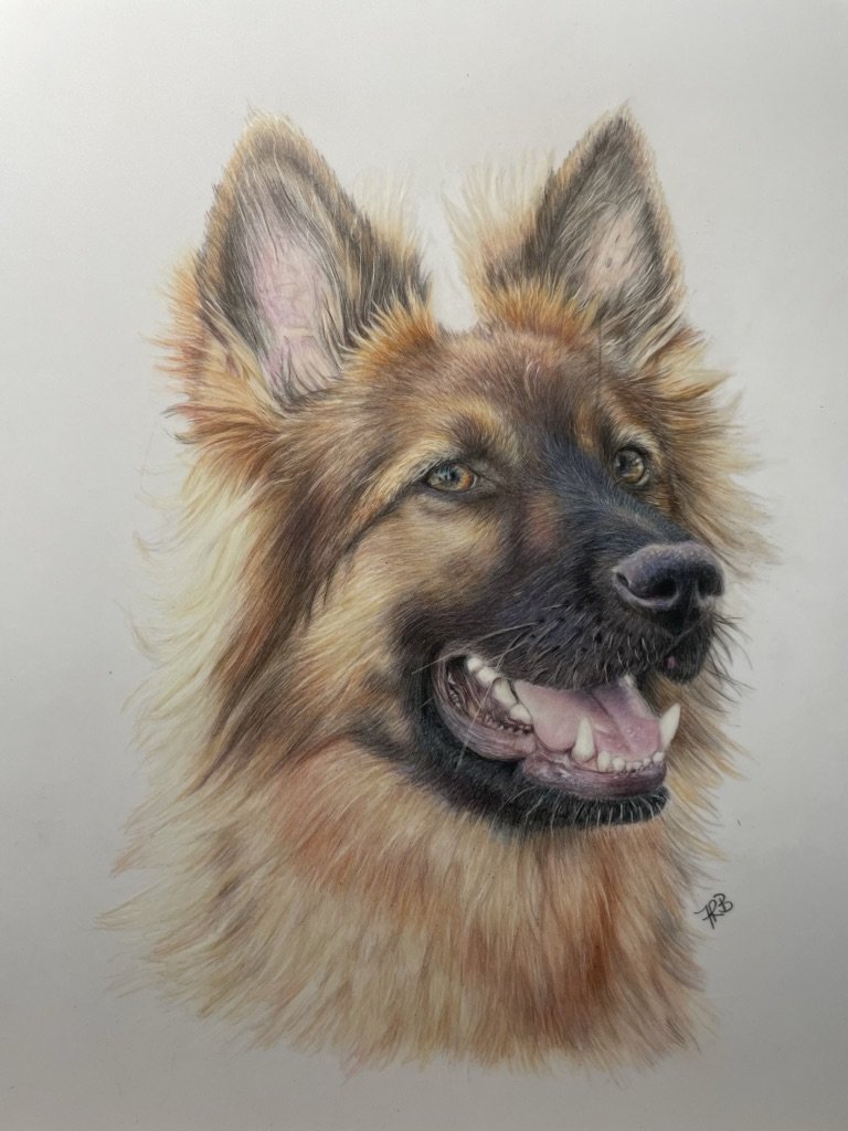 German Shepard
220gsm Draftex Paper
148x 210mm
