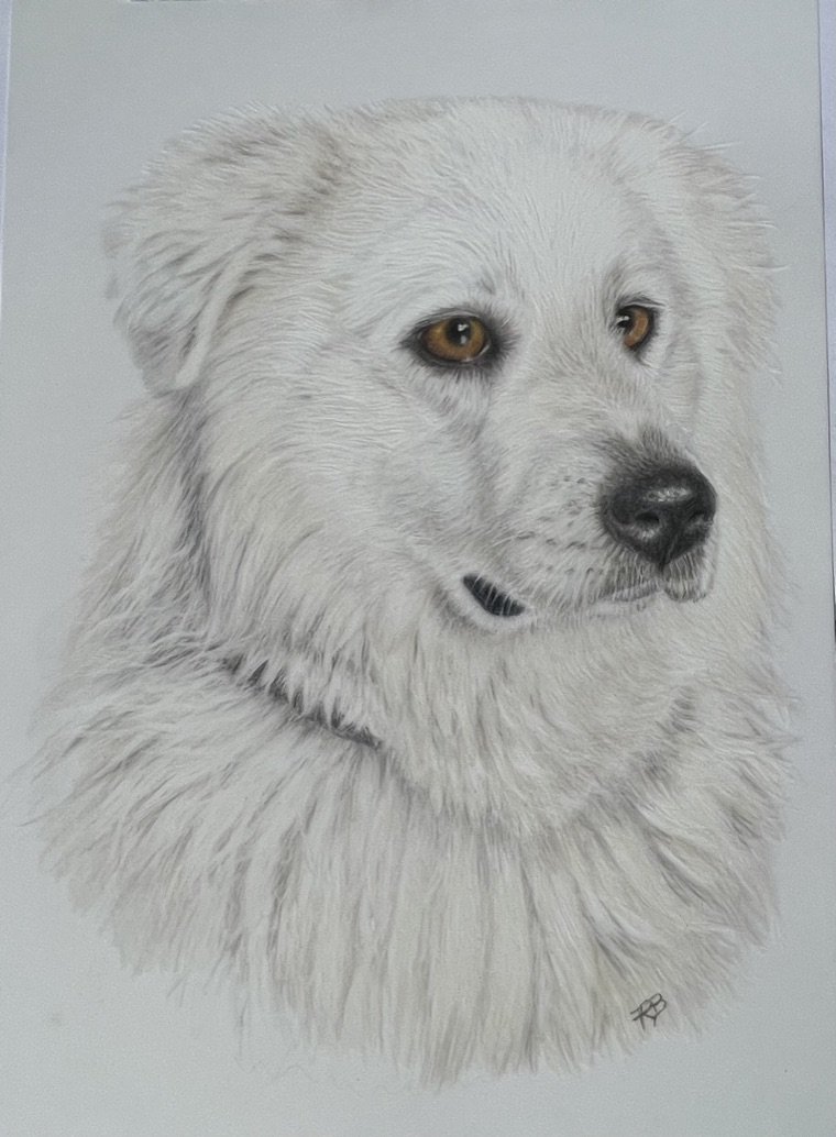 Mirama,
Oil pencils on 220gsm Draftex Paper
148x210mm