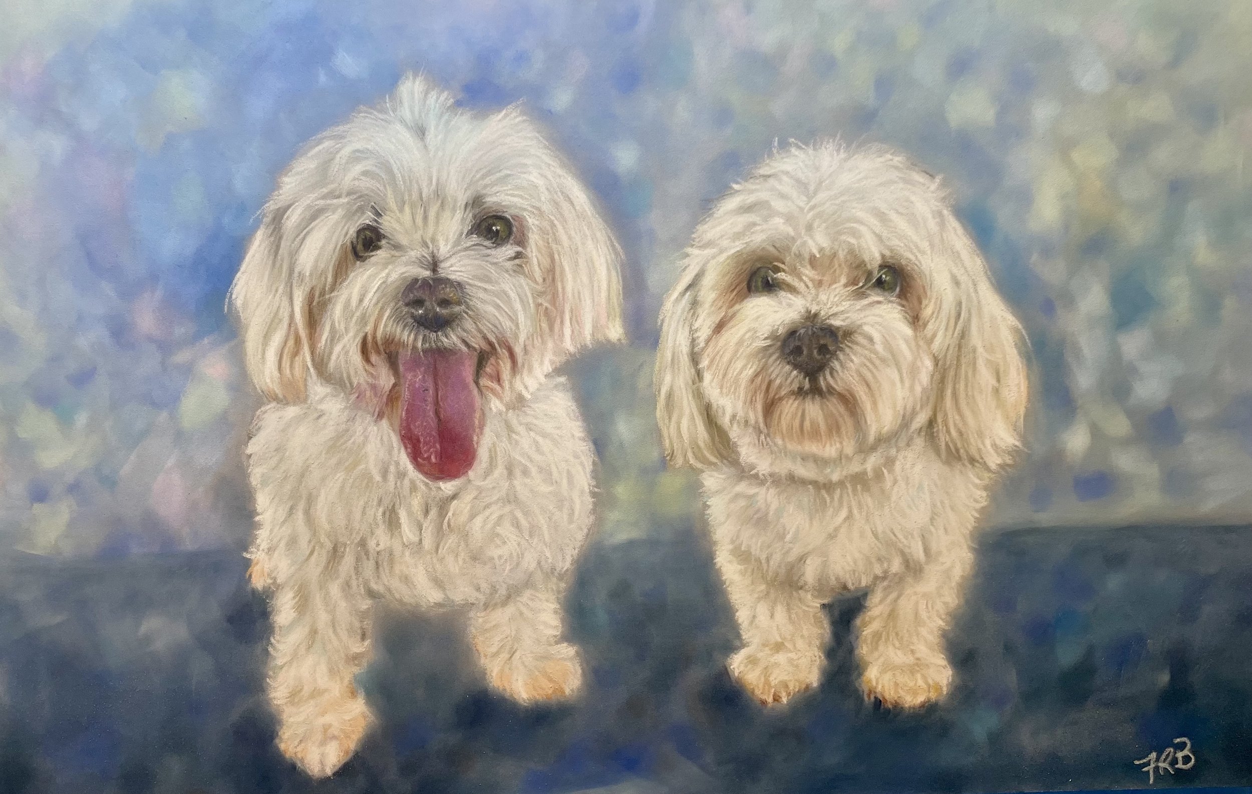 Maltese Dogs
Pastels on Claire Fontaine Pastel Mat
505x420mm