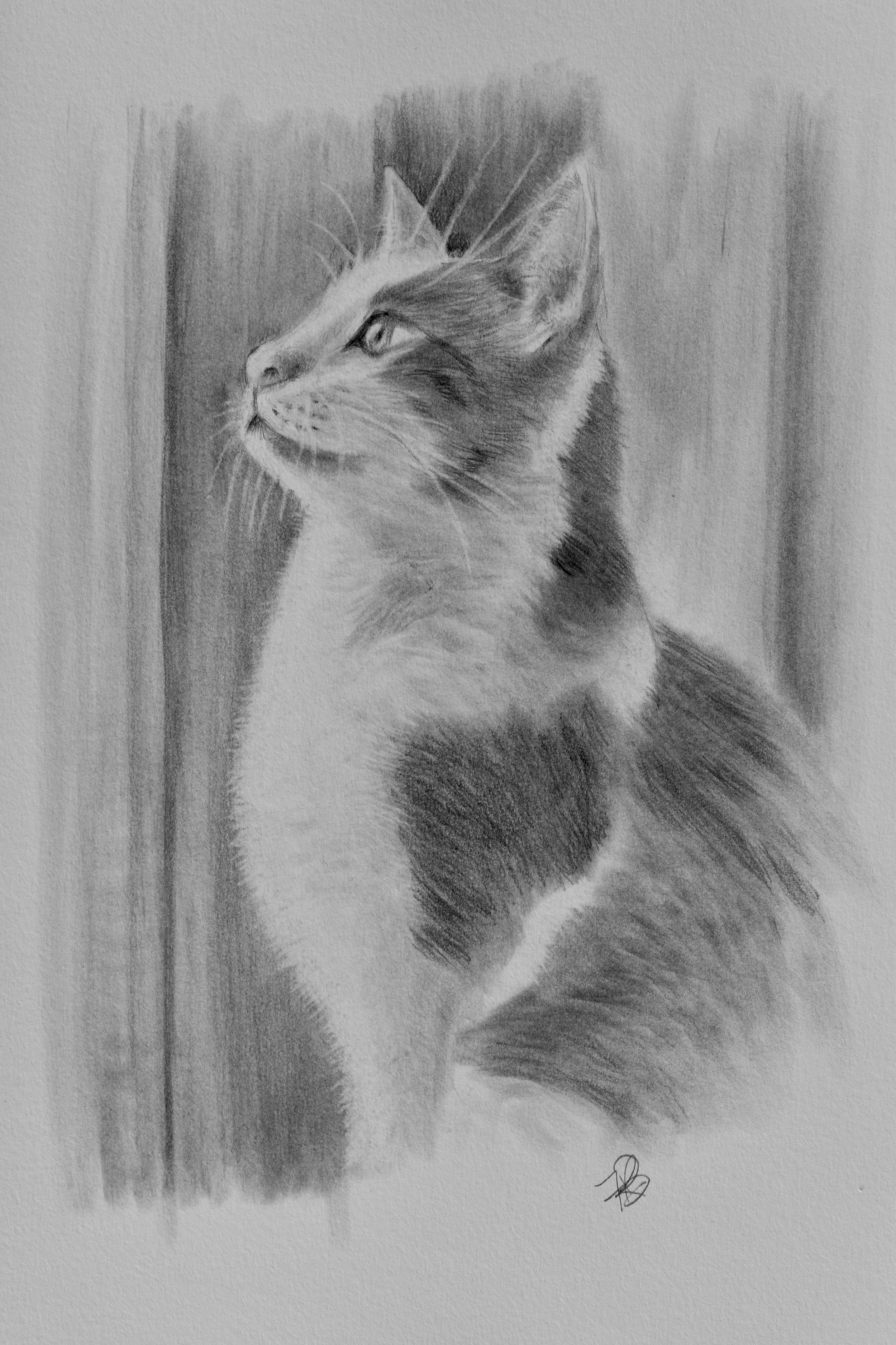 Soaking in the Sun Graphites on 170gsm 210x297mm $180 unframed