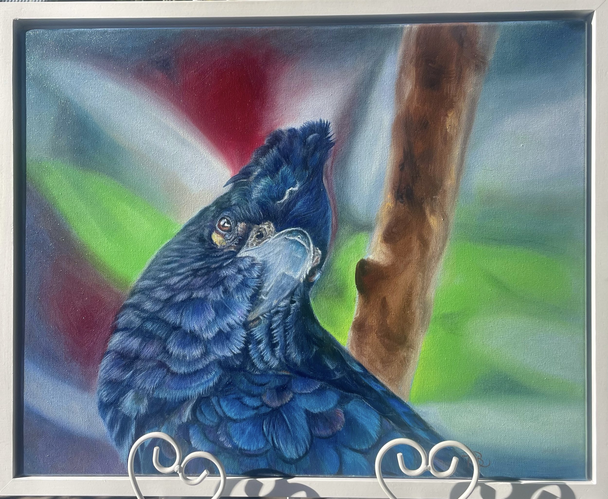 Black Cockatoo
Oils on Canvas 500x400mm
Includes white Floater Frame.
$560.00