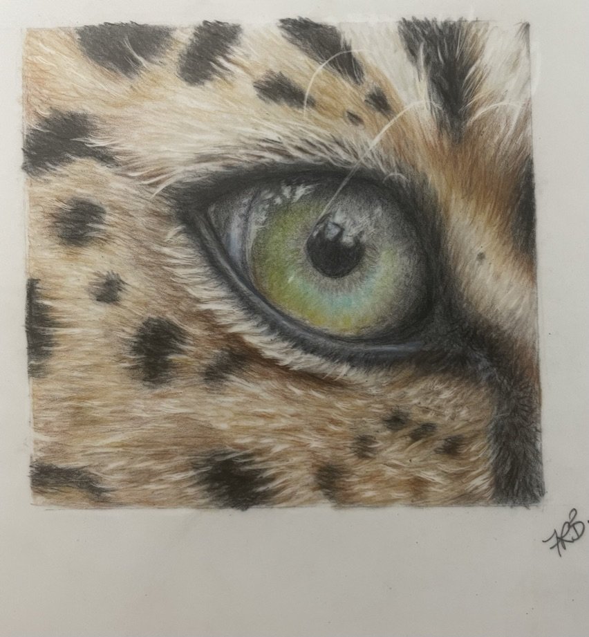 Leopard eye
Oil pencils on 220gsm Draftex
105x148