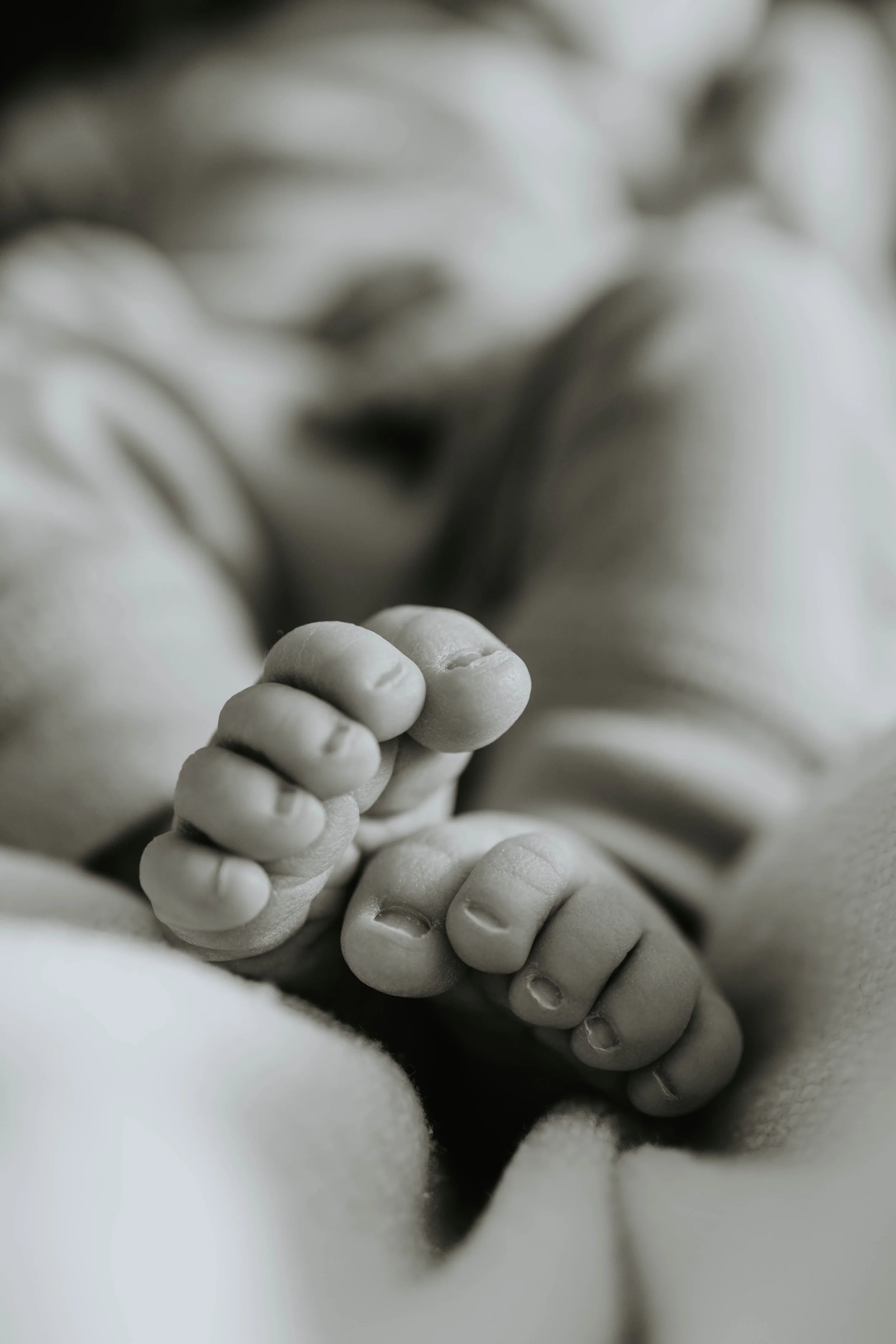 oregon-fresh48-newborn-photography.jpg