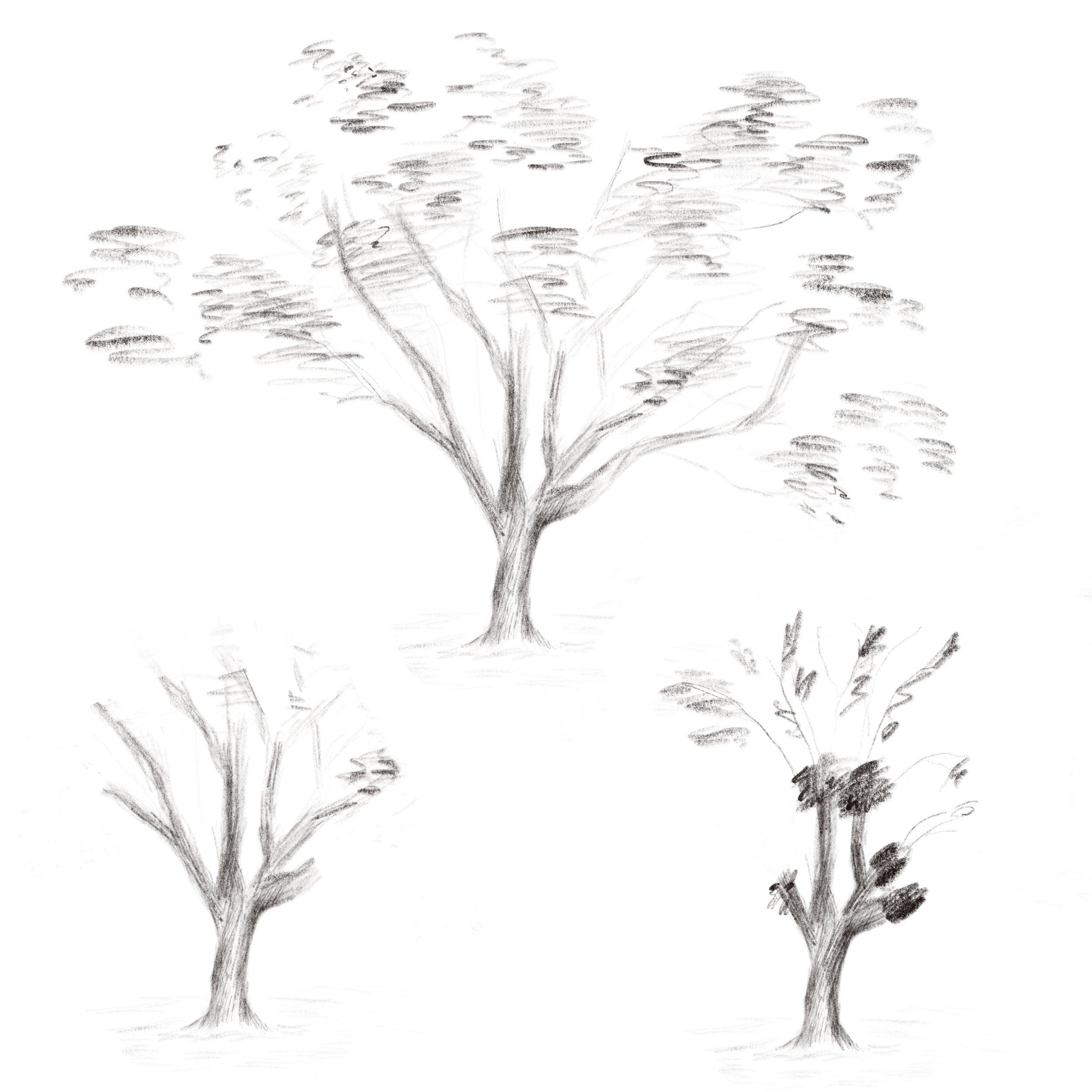 Untitled_Artwork 15.jpg