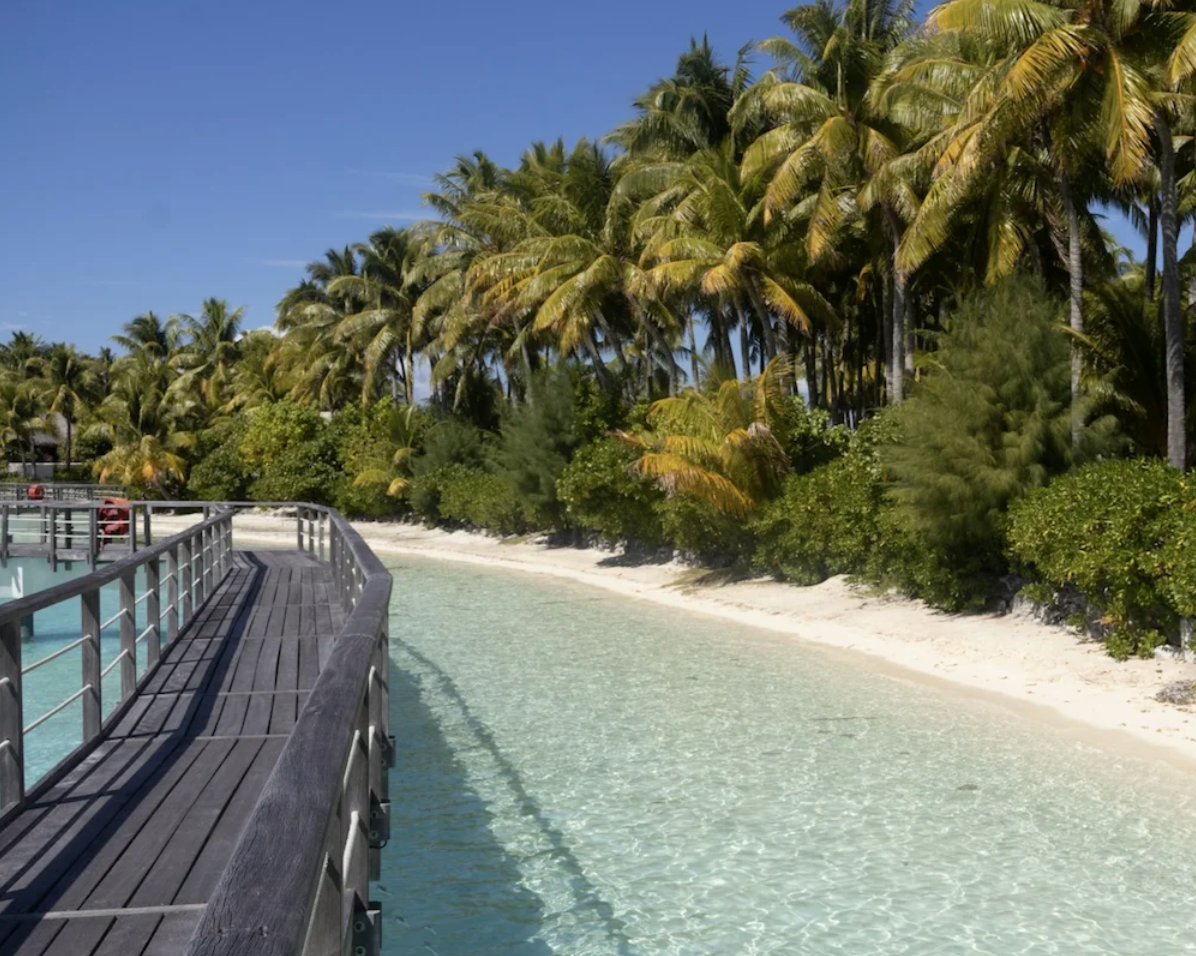 Screenshot 2025-01-18 at 13.05.03.png