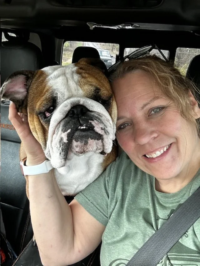 bulldogs of google.jpeg