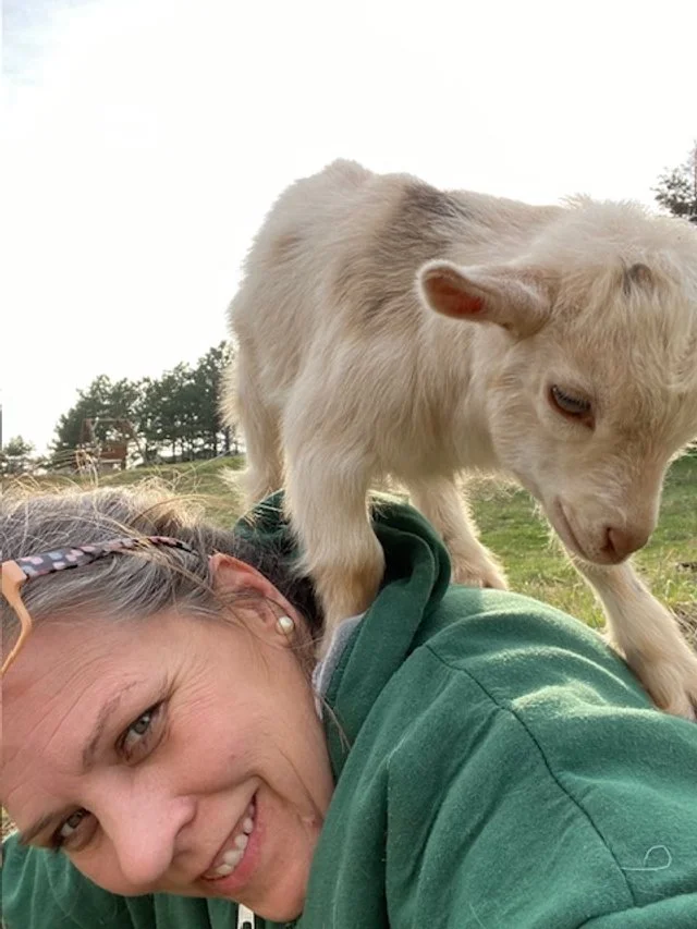 Goat at St Louis Wedding Venue.jpeg