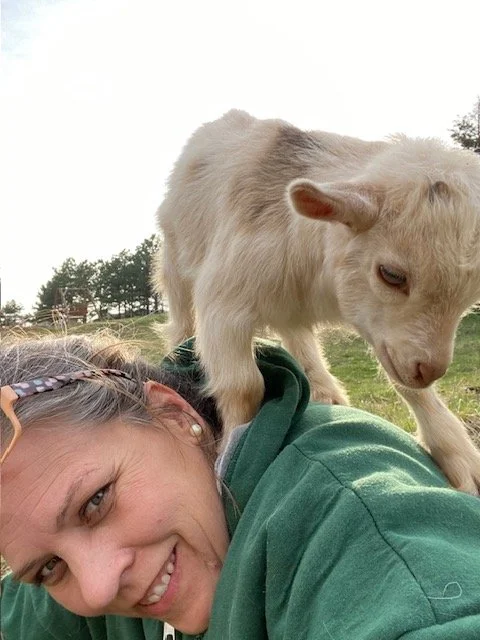 Goat at St Louis Wedding Venue.jpeg