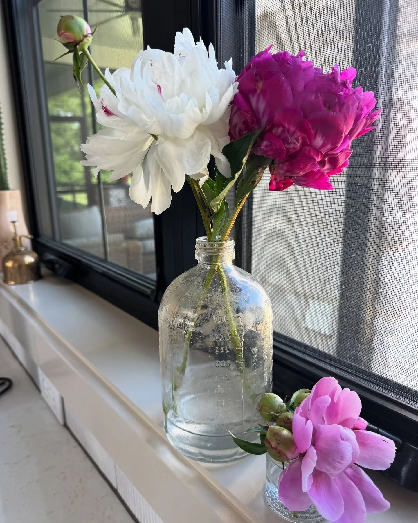 Wish I could have peonies in my kitchen window year round. But then would it feel special? 🤔

🚨I think next week is the last week for peonies! 😭 Counting on lots of pink Sarah Bernhardts🤞🏼Let me know what you want, paper wrapped bouquets, mason 
