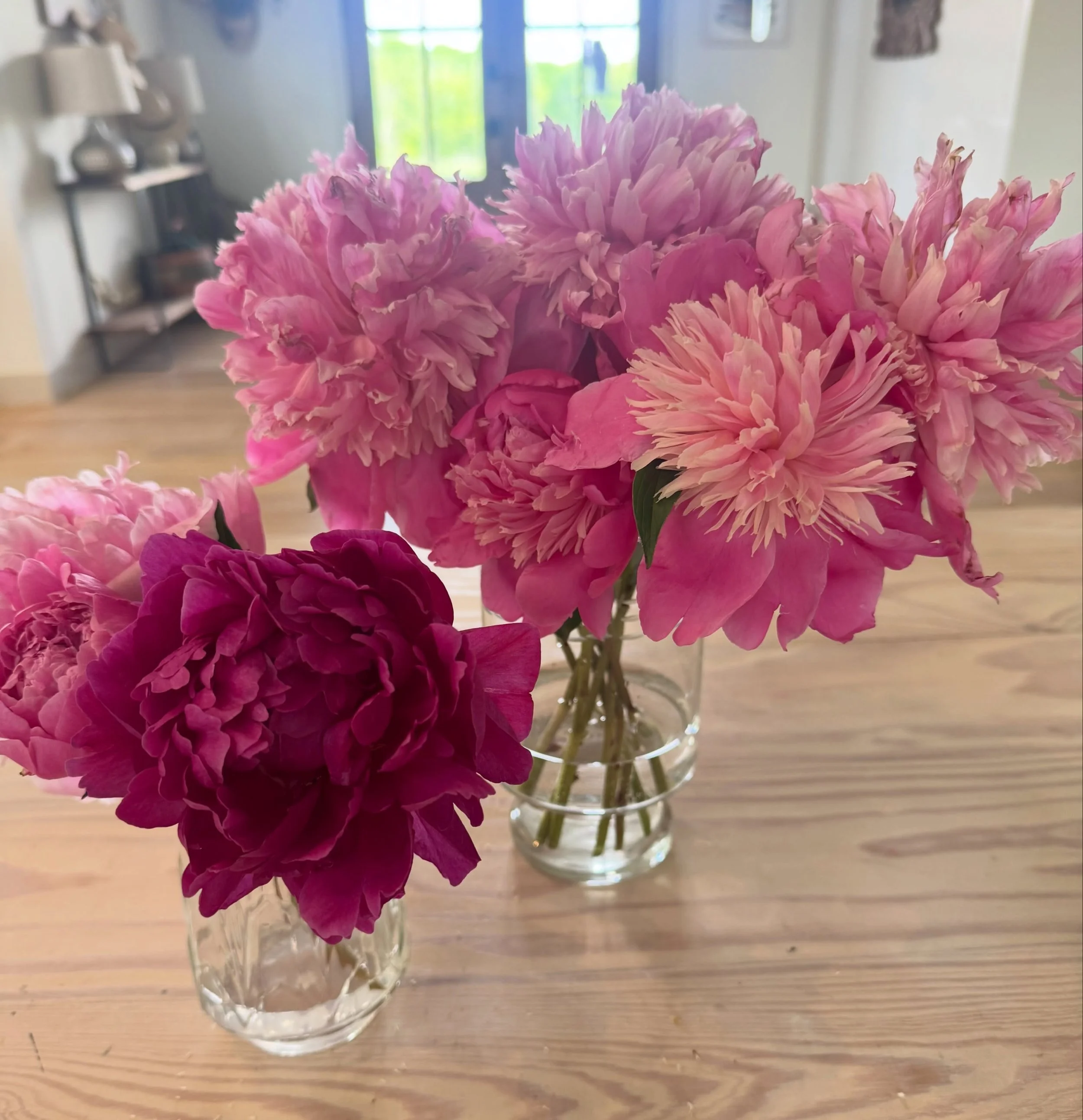 ⛈️🚨 It&rsquo;s gonna storm tonight in Columbia! If you have yard peonies, go ahead and cut the ones that are on their way out and make an easy table bouquet, and get another couple of days with them! Otherwise you&rsquo;re just gonna have a puddle o