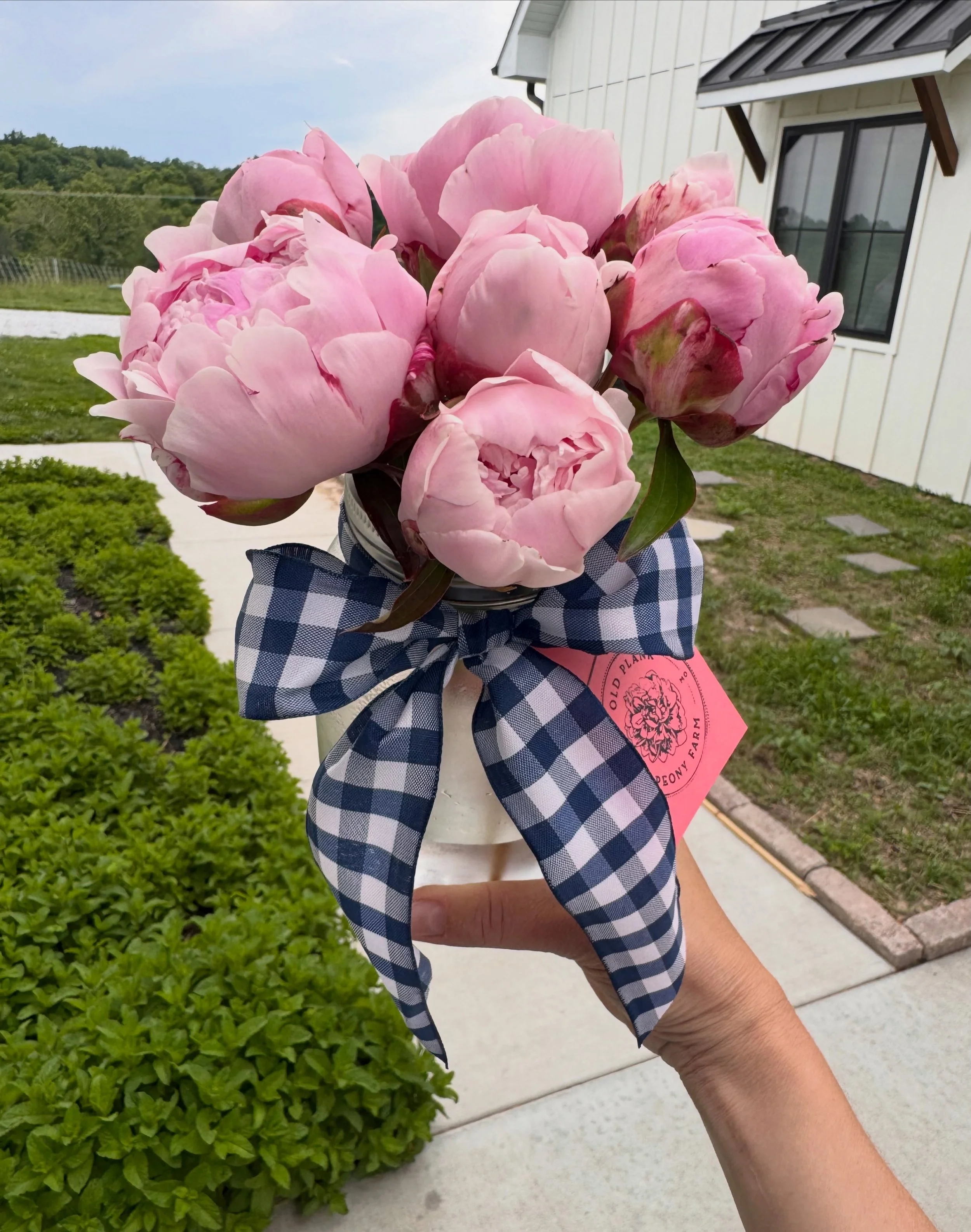 🎀 I made an extra, who wants it? Pick up thru Sunday! $34+

#columbiamo #sarahbernhardtpeony
