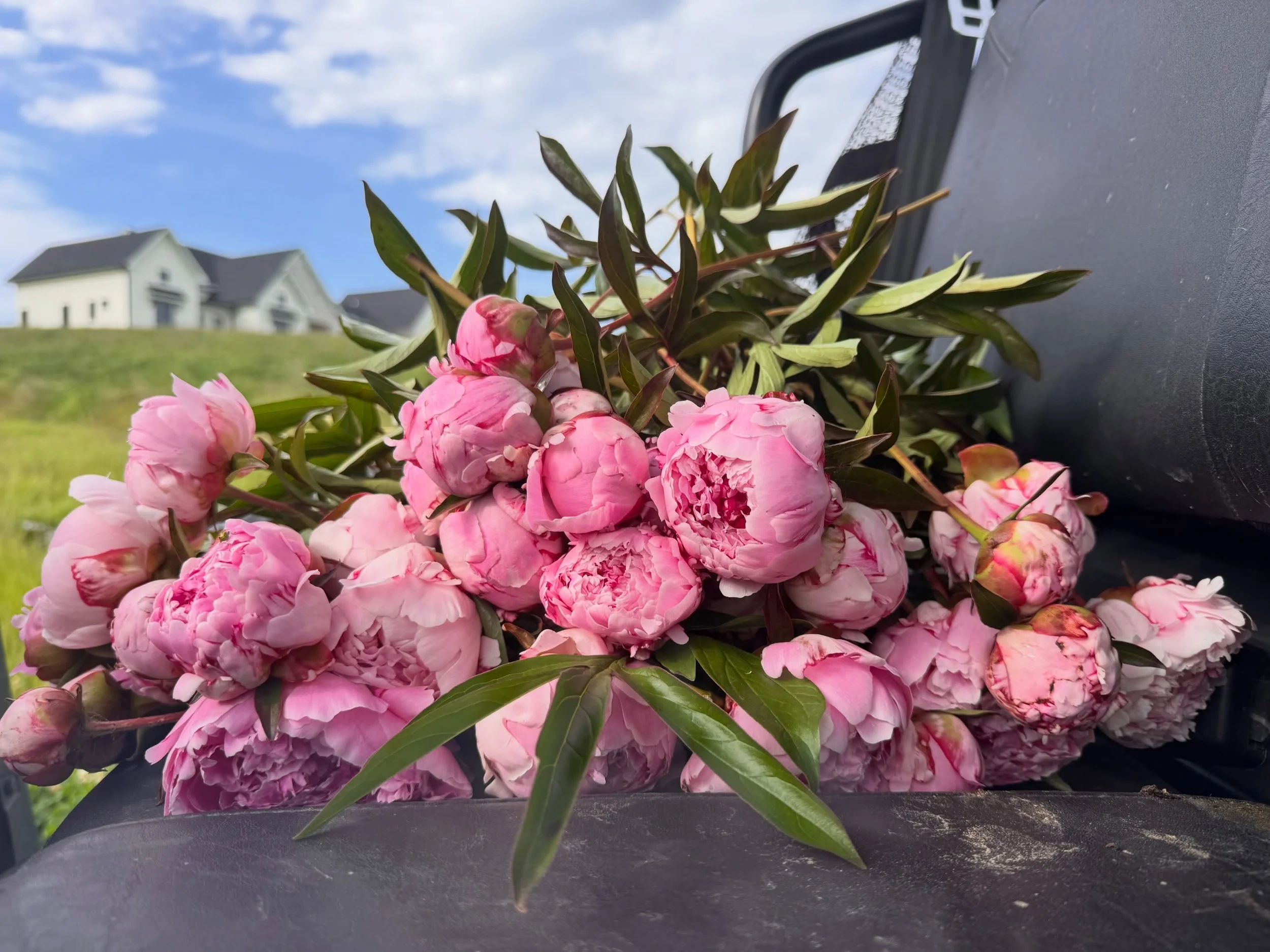 That&rsquo;s a wrap on peony season here in Missouri! Thank you to everyone that followed along and share in a passion for peonies! I love meeting you guys, and so many were buying for their moms, friends and neighbors. We had a wedding arrangement a