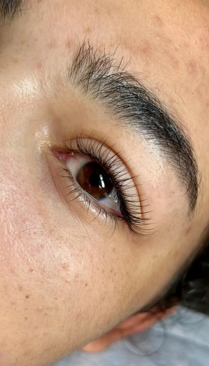 Glamorous Hybrid Lash Extension Crows Nest Willoughby LED eyelash lashes