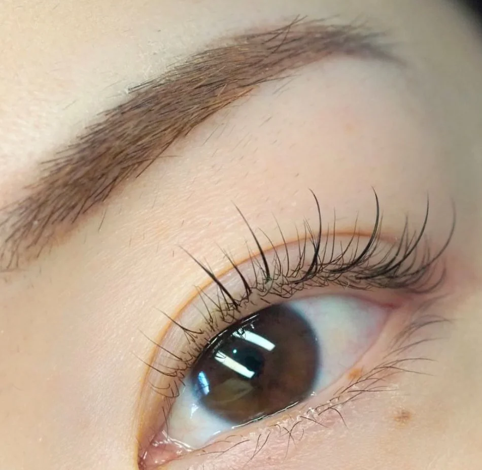 Close-up of an eye with long eyelashes and a well-defined eyebrow.