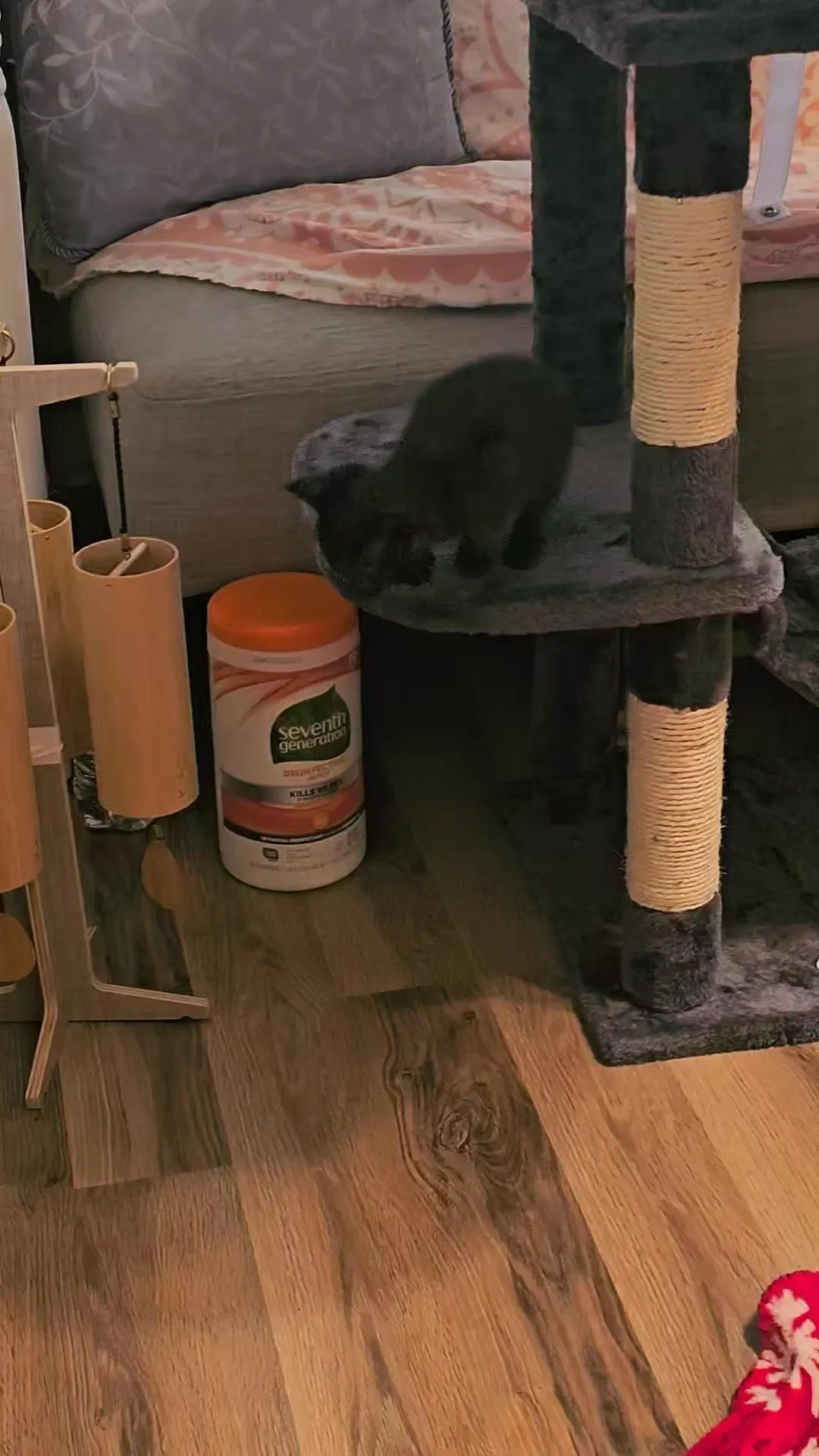 Little Binxie Onyx Obsidian (Boo -- the name is still up for debate 🤣) is learning the beauty of music and learning to explore :) Her GI troubles were resolved after a vet visit last week and she's doing AMAZING now!
*Don't worry this cat tree won'