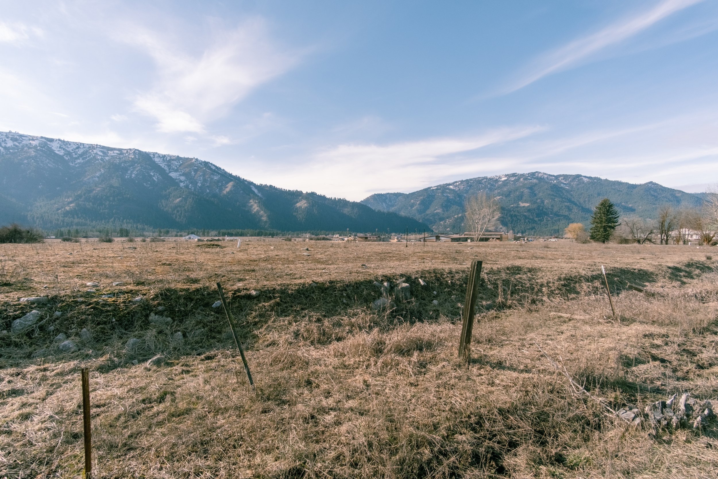 Banks_02-02-26-24 (Custom).jpg