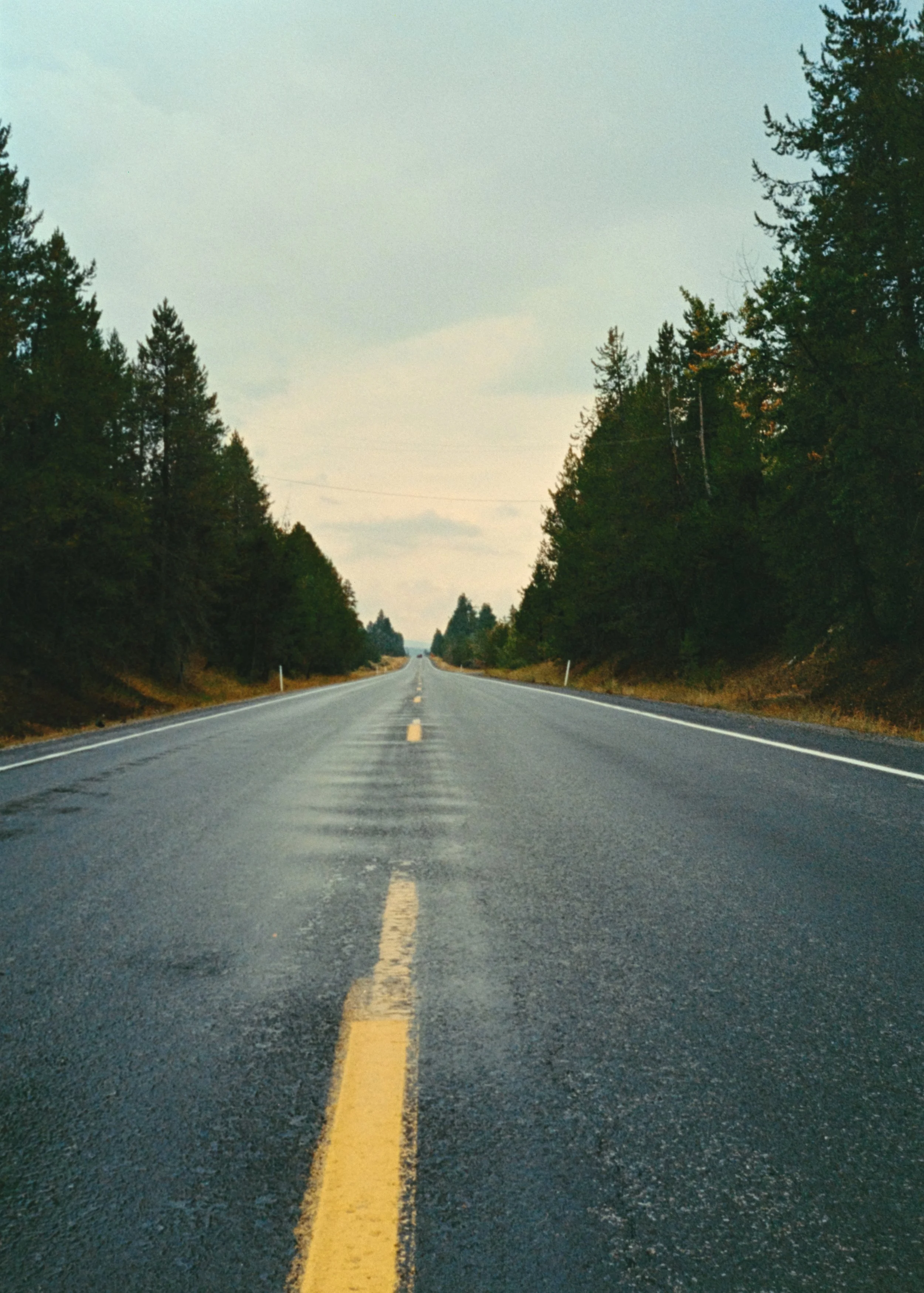 Straight open road through a forest with trees on both sides, cloudy sky.