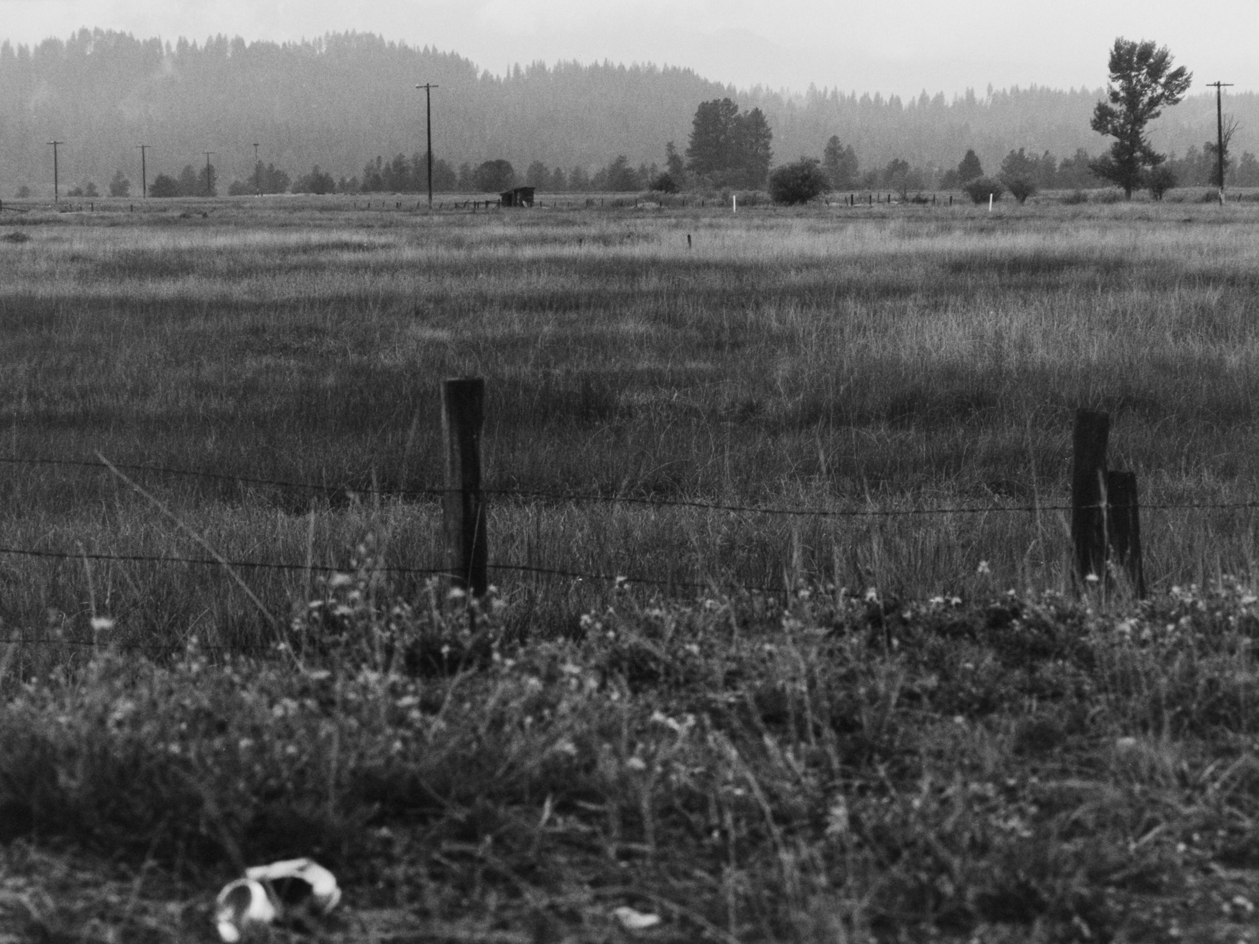 A black and white photo of a rural landscape with a wide open field, a barbed wire fence in the foreground, scattered trees, utility poles, and distant hills or mountains in the background.