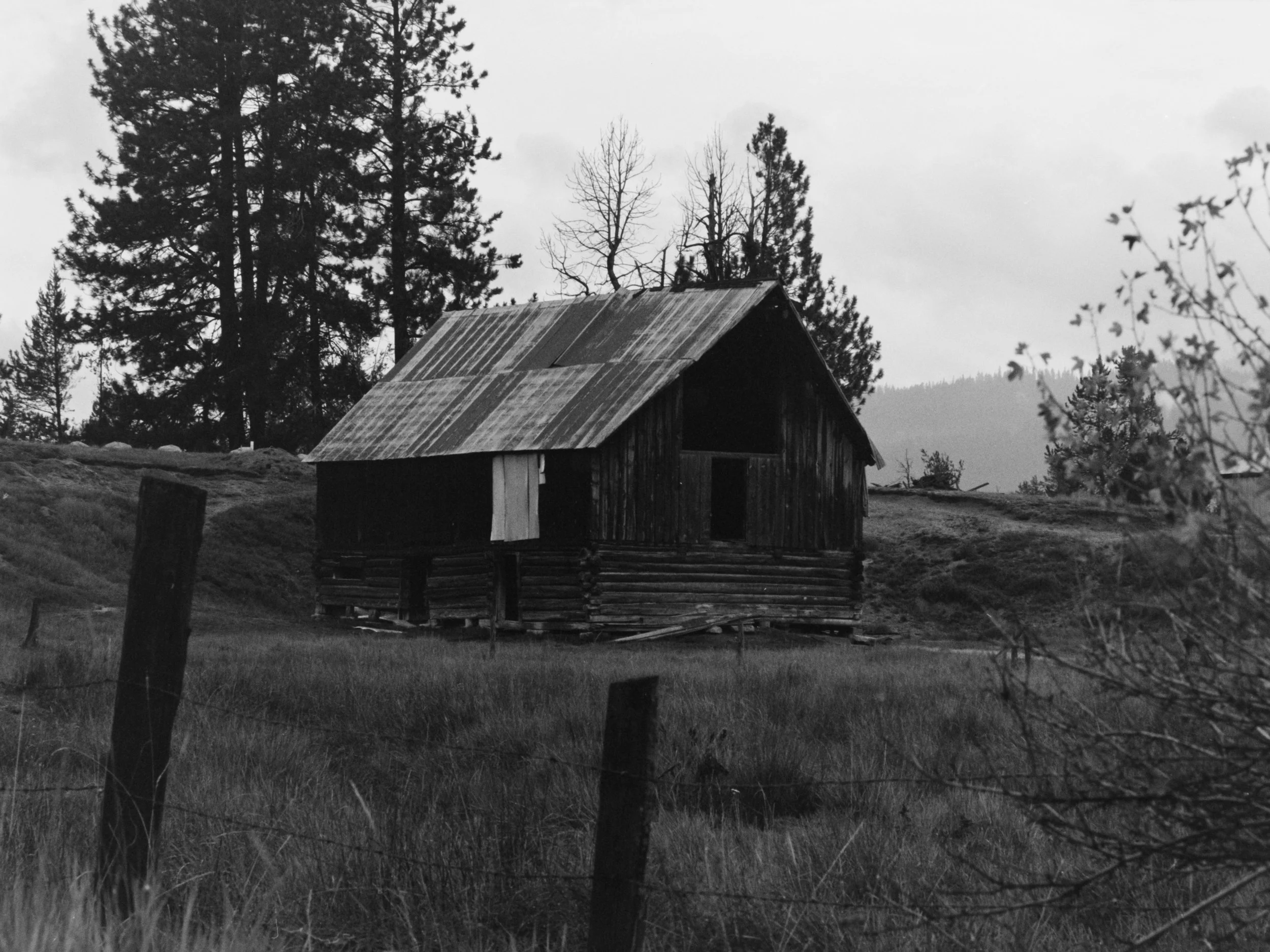 A black and white photo of a rustic wooden house with a slanted metal roof, surrounded by trees and grassy land, with a fence in the foreground.