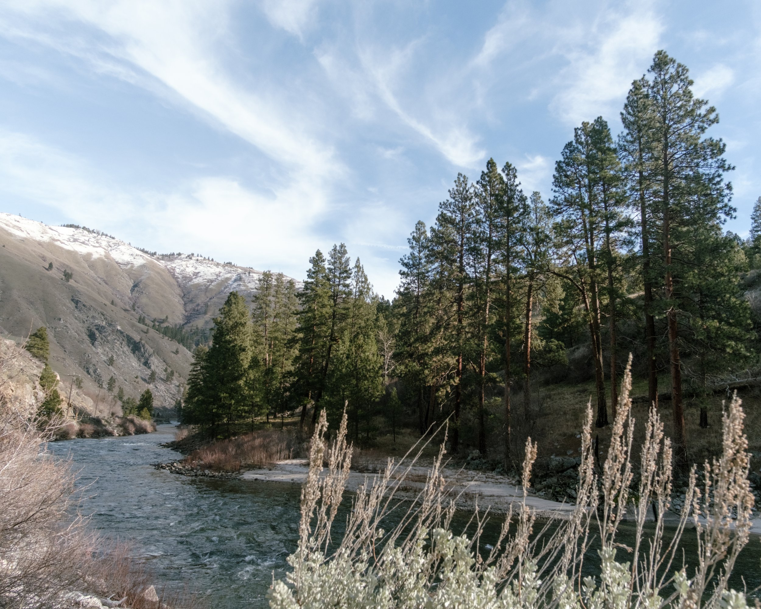 A scenic view of a river flowing through a forested canyon with tall pine trees and snow-capped mountains in the background under a partly cloudy sky.