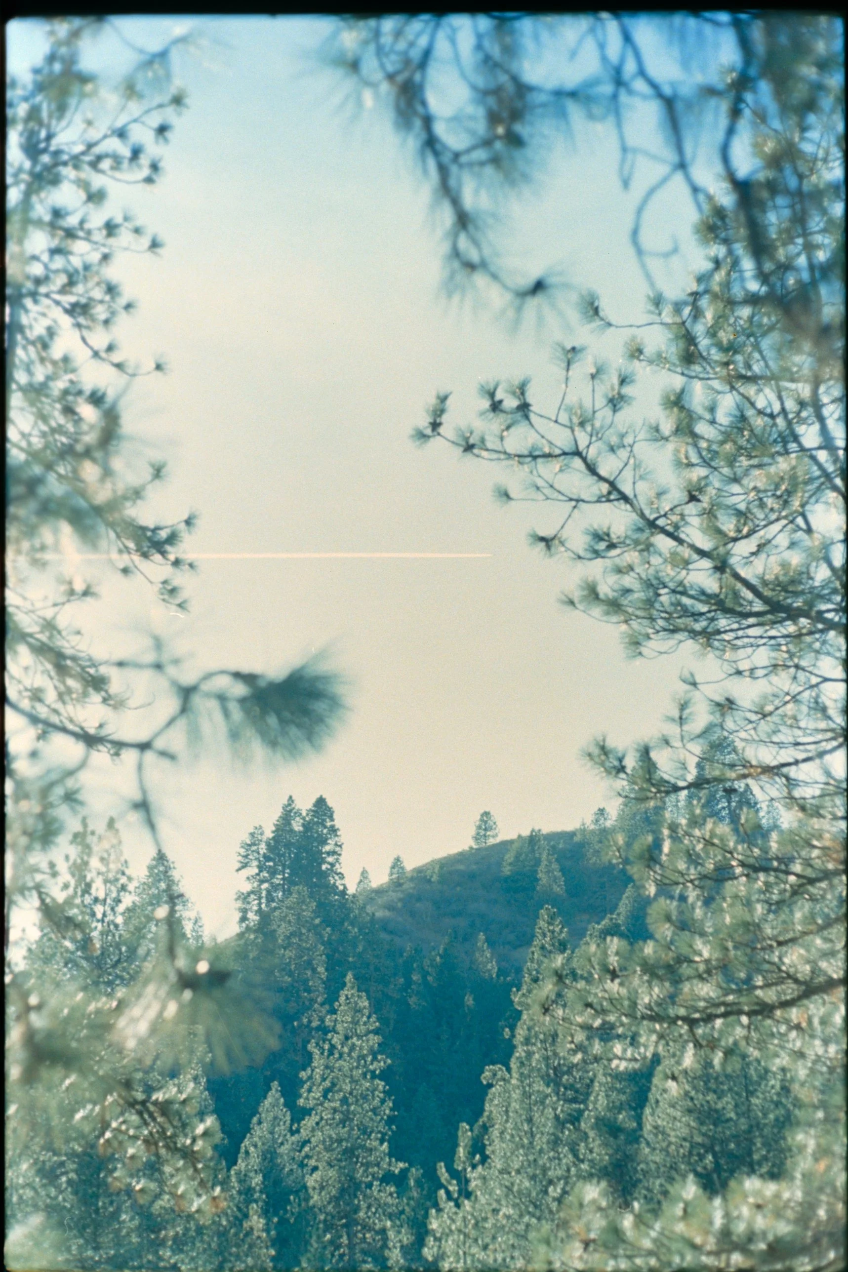 Lomo-800_HorseshoeBend-SRT101-31 (Custom).jpg