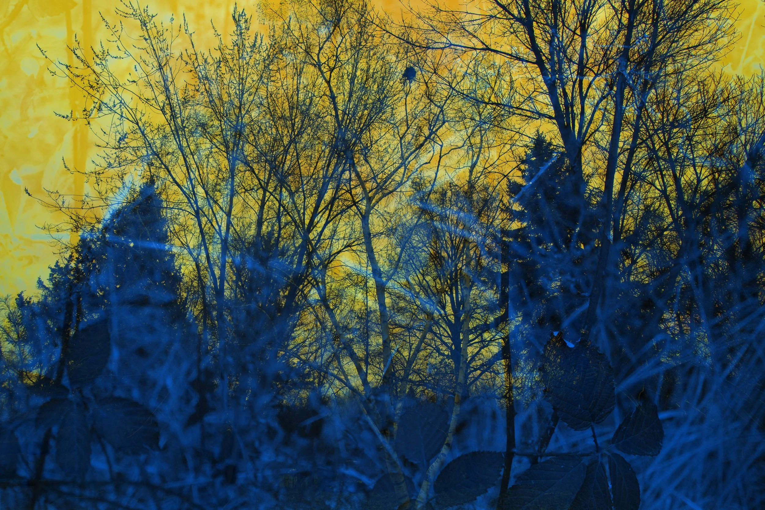 9-PBY-MistakeExperiment-Tweak (Custom).jpg