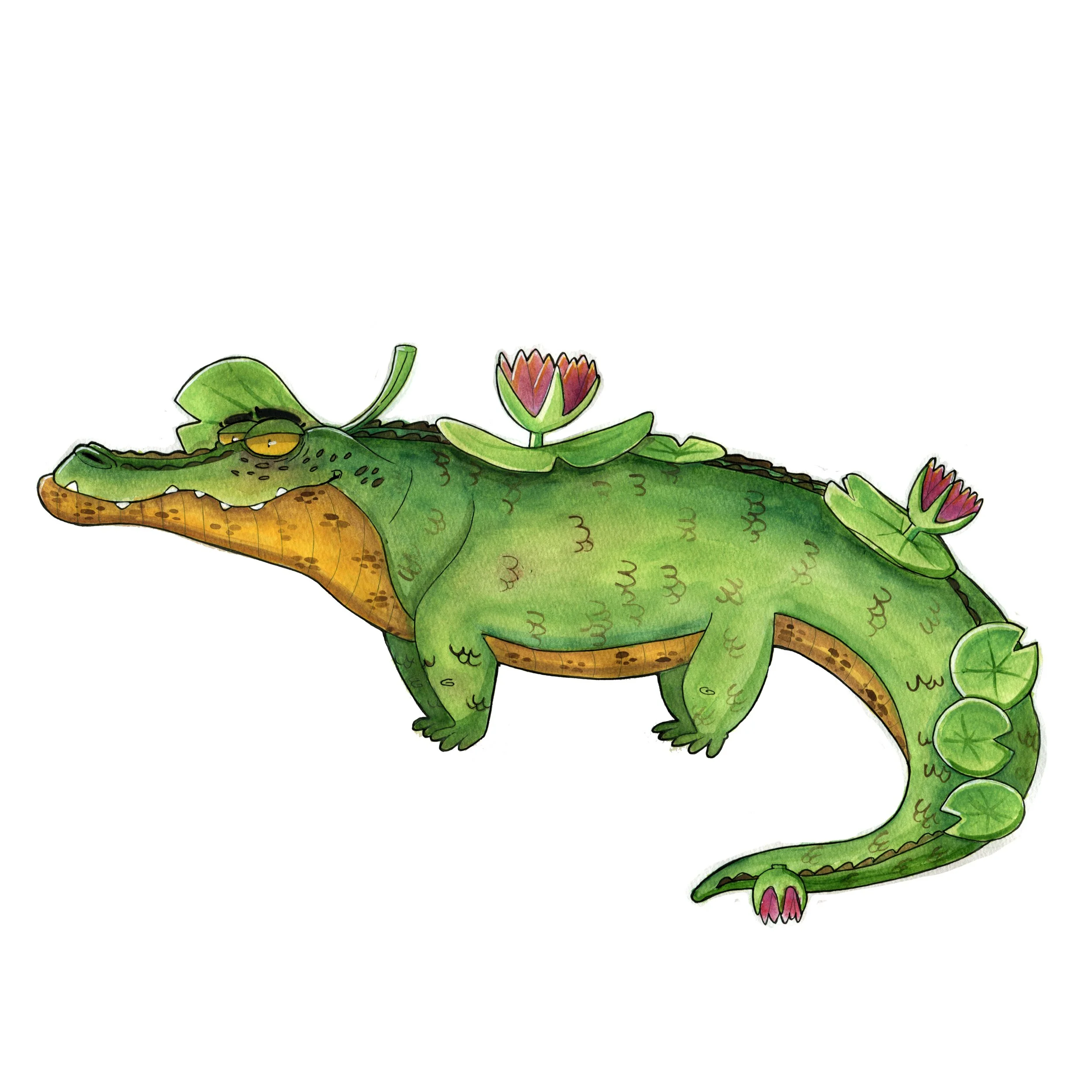 LiliypadCroc.jpg