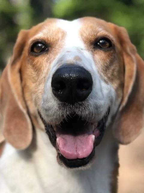 The Moment I Knew the Afterlife Was Real