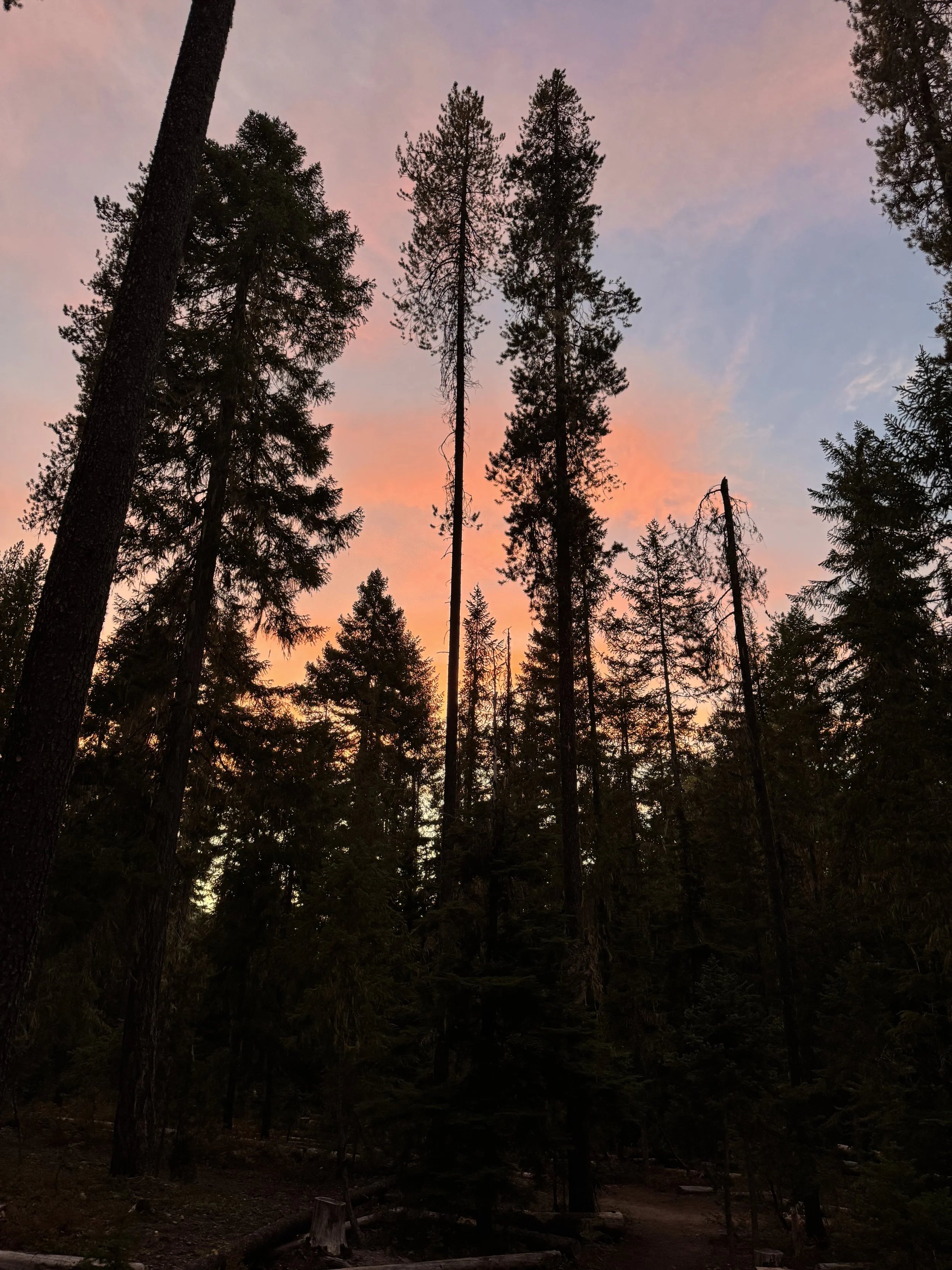 Peaceful sunset symbolizing continued connection with pets in spirit