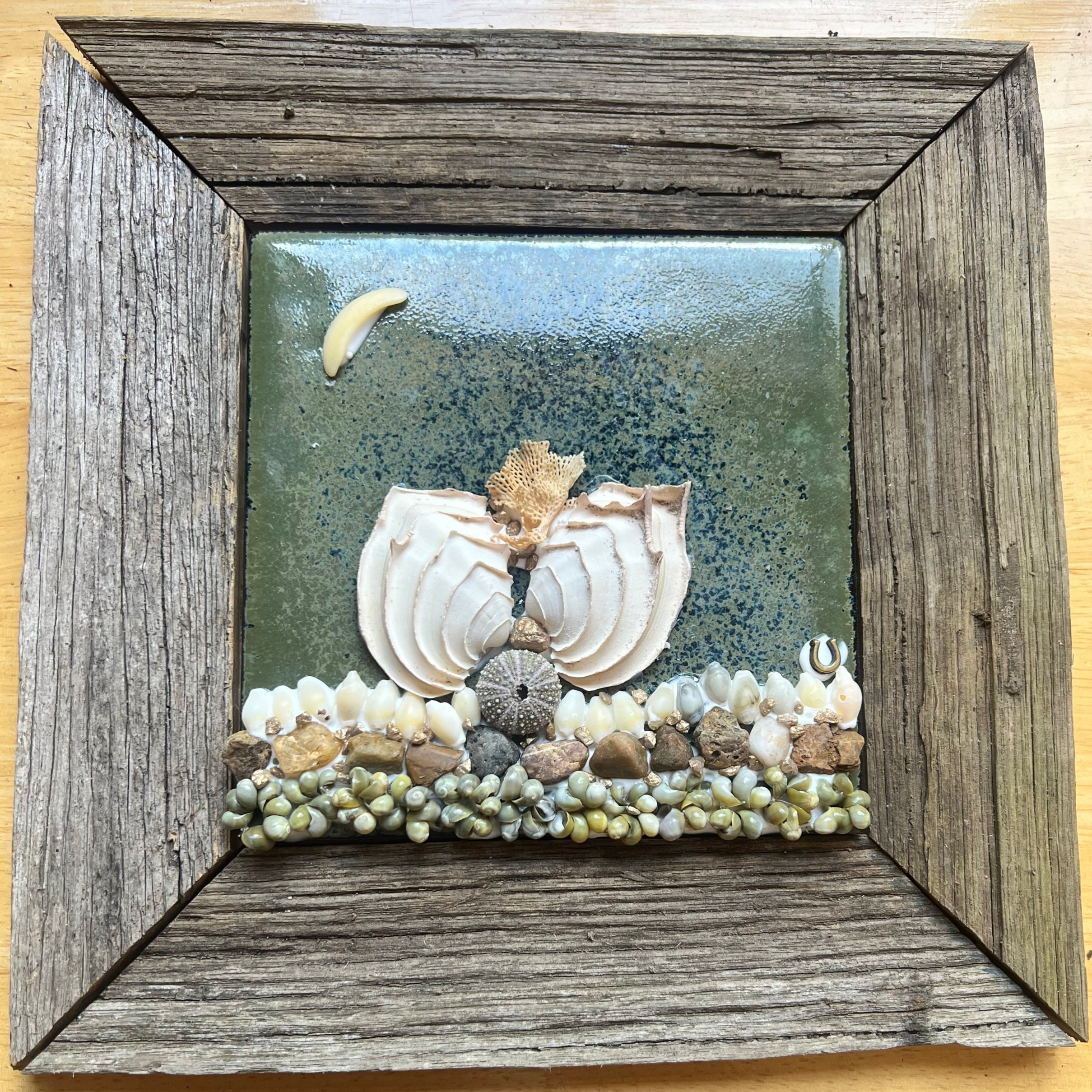 Shells in the moonlight | Tasmanian shells | 8.5”x8.5” | SOLD