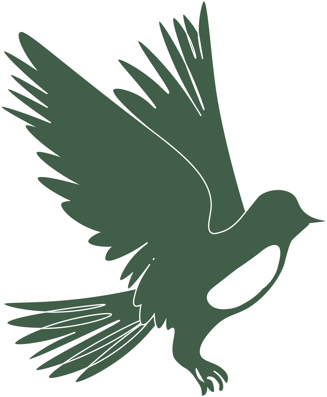 Silhouette of a bird in flight with outstretched wings.