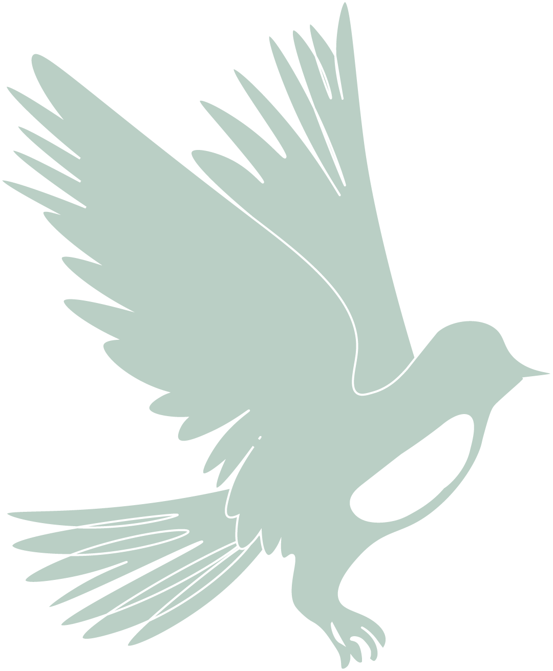 Silhouette of a bird in flight with outstretched wings.