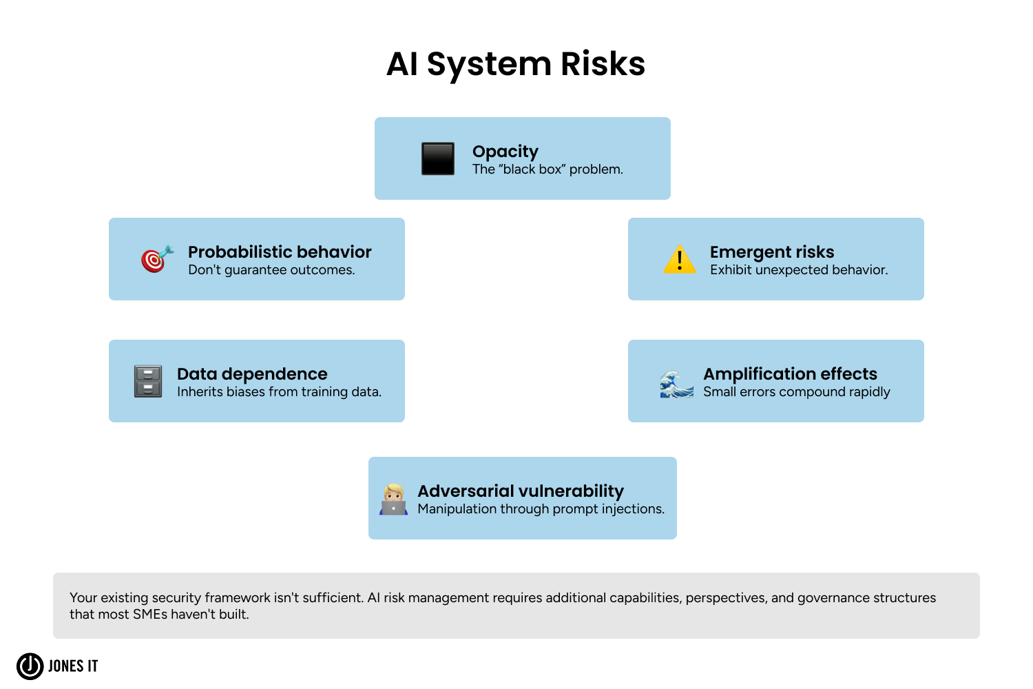 AI System Risks