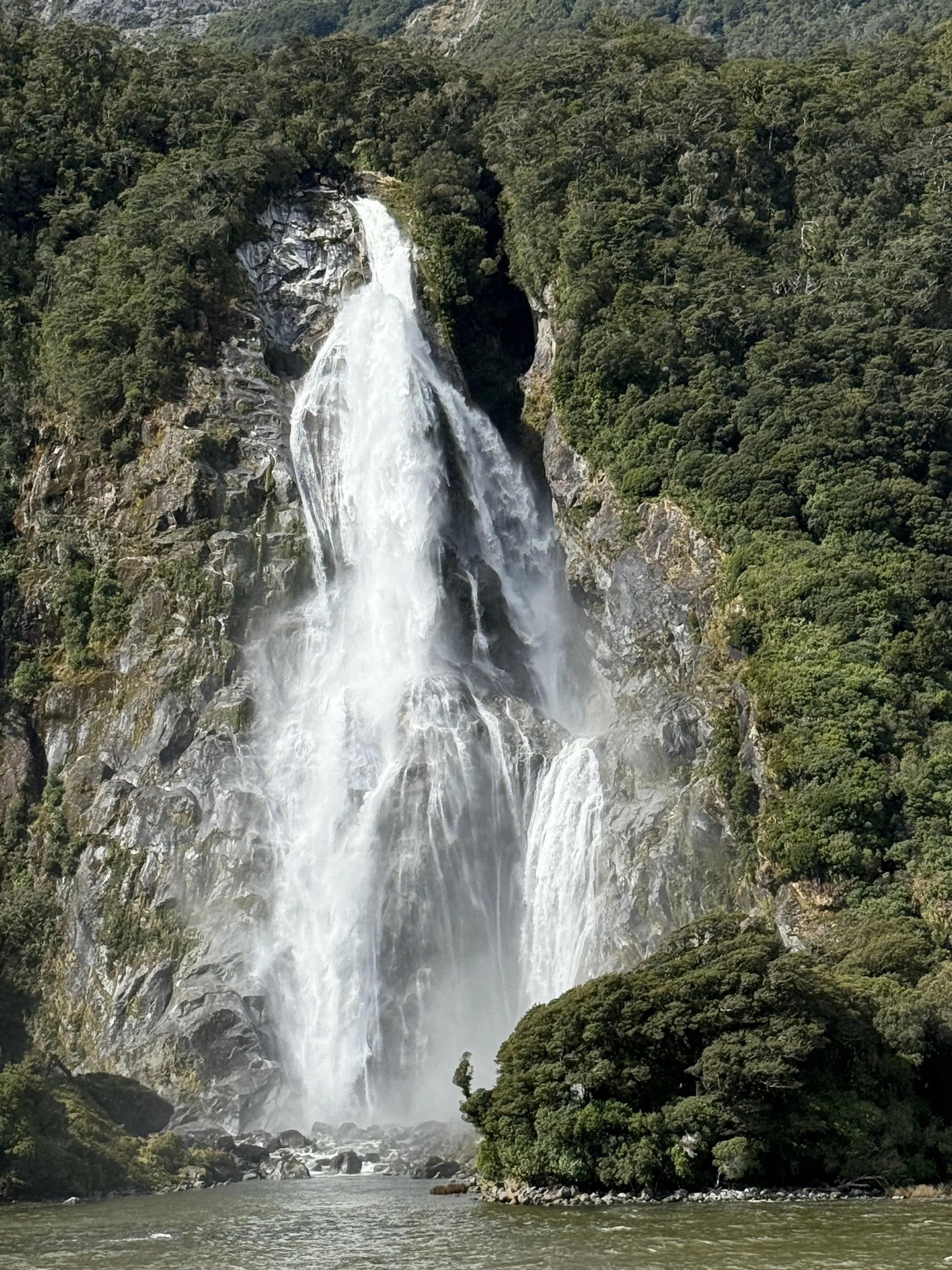 IMG_0213.jpeg