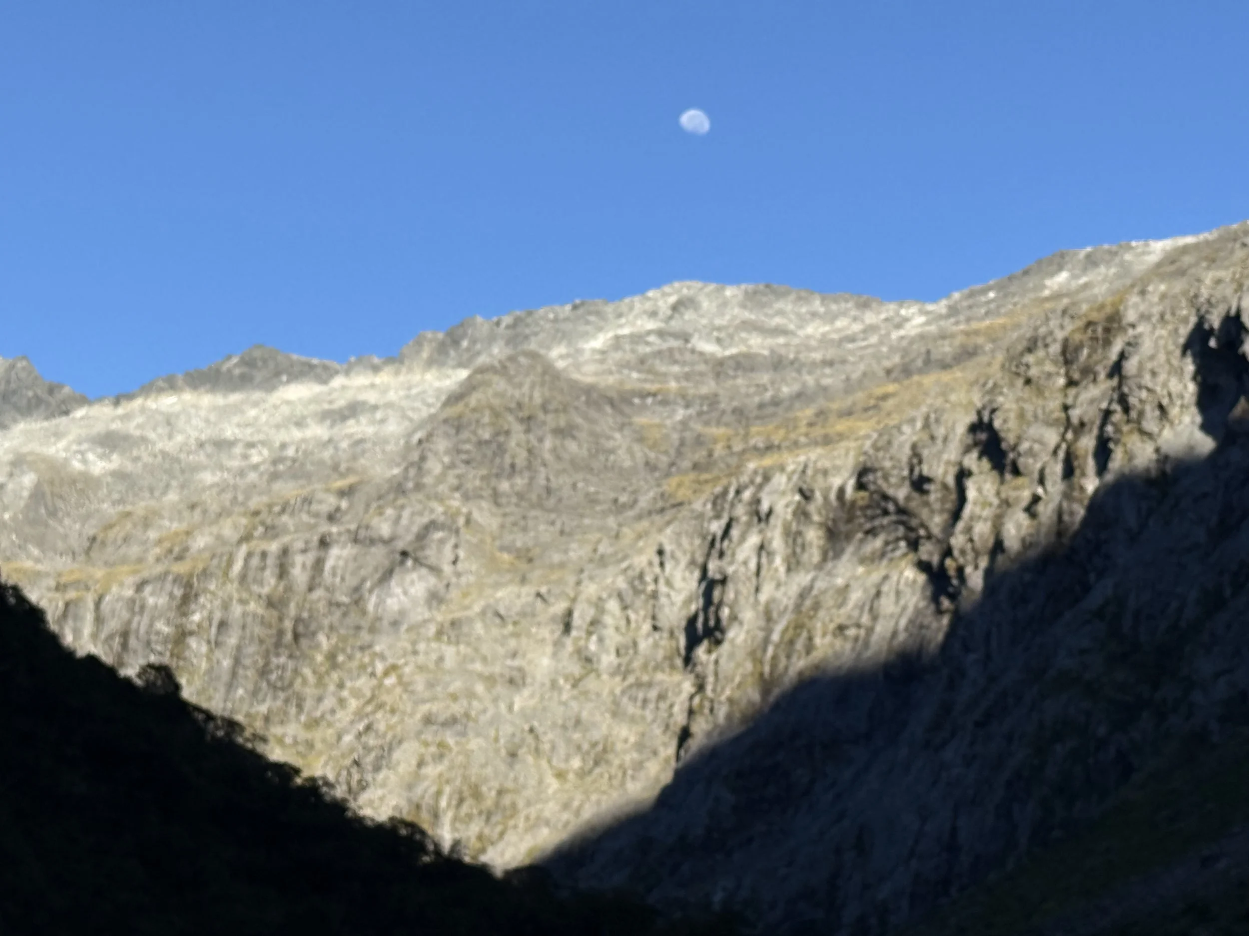 IMG_0299.jpeg