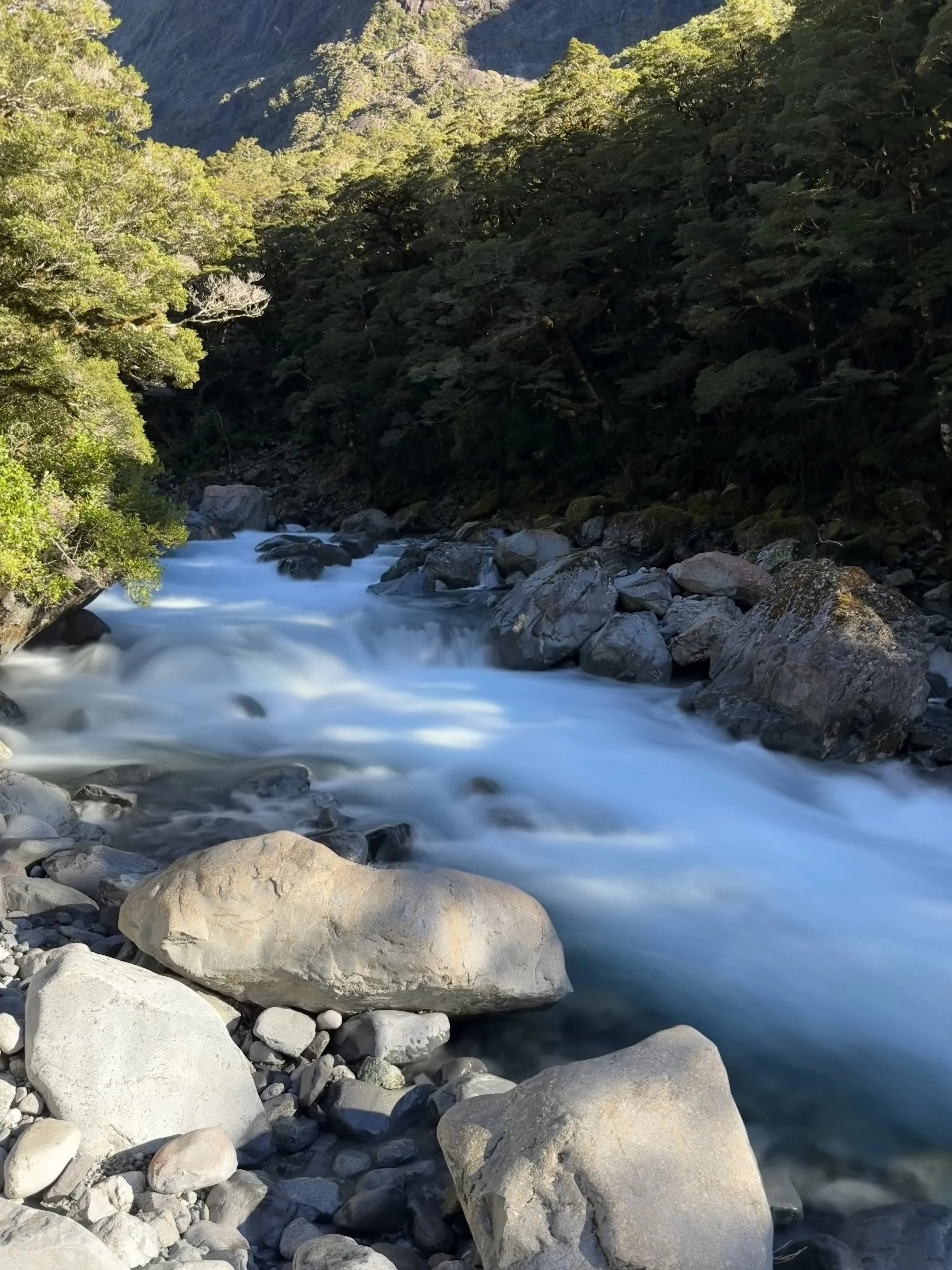 IMG_0312.jpeg