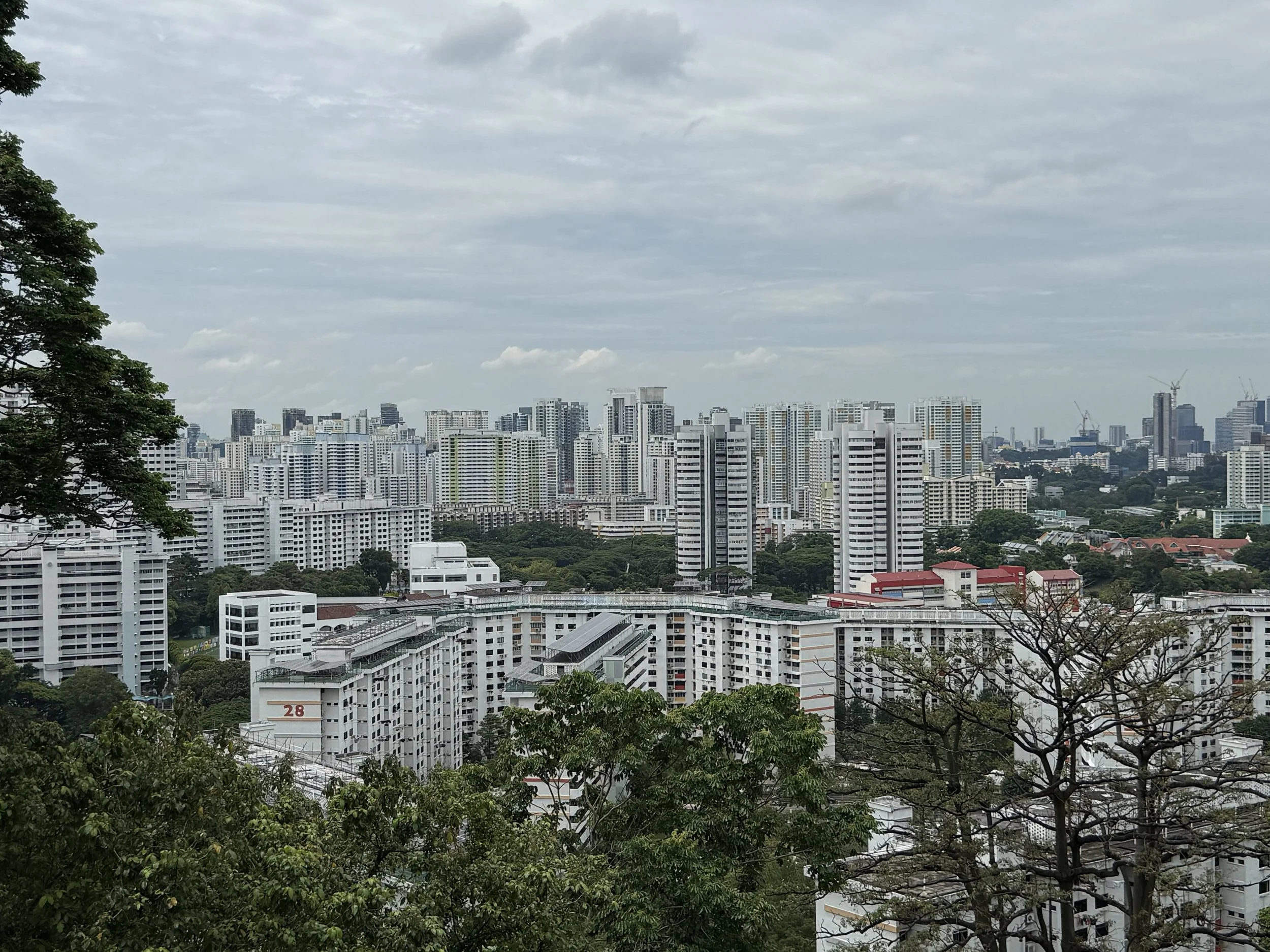 IMG_1692.jpeg