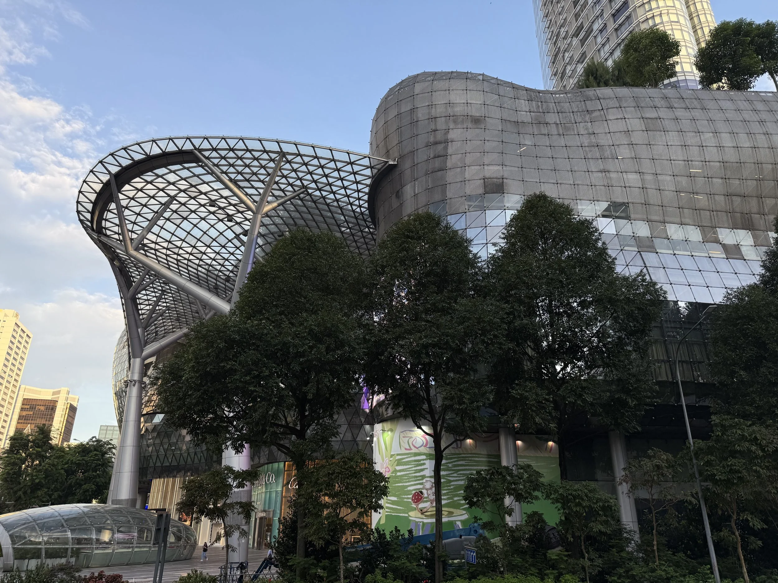 IMG_1737.jpeg