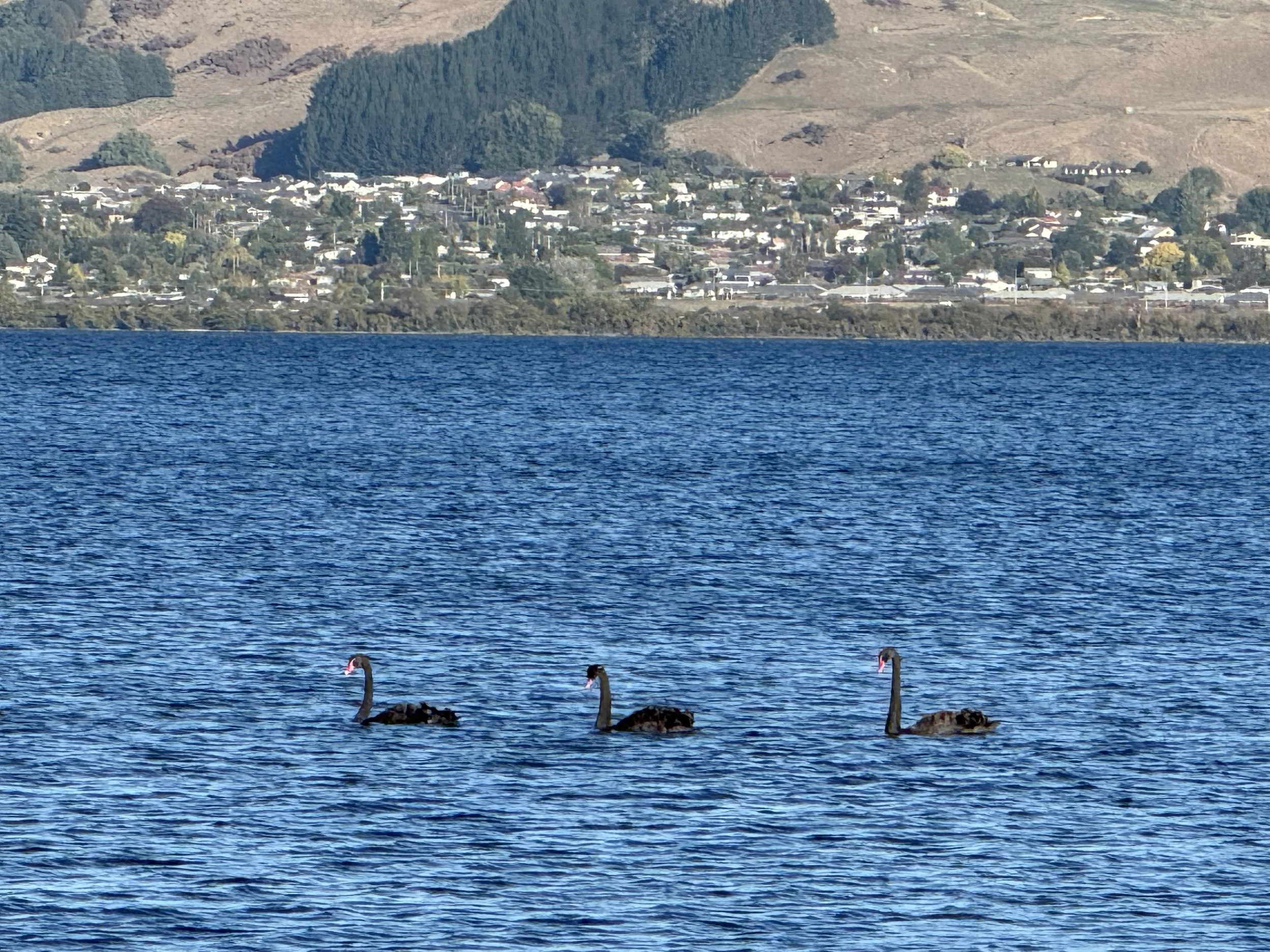 IMG_0666.jpg