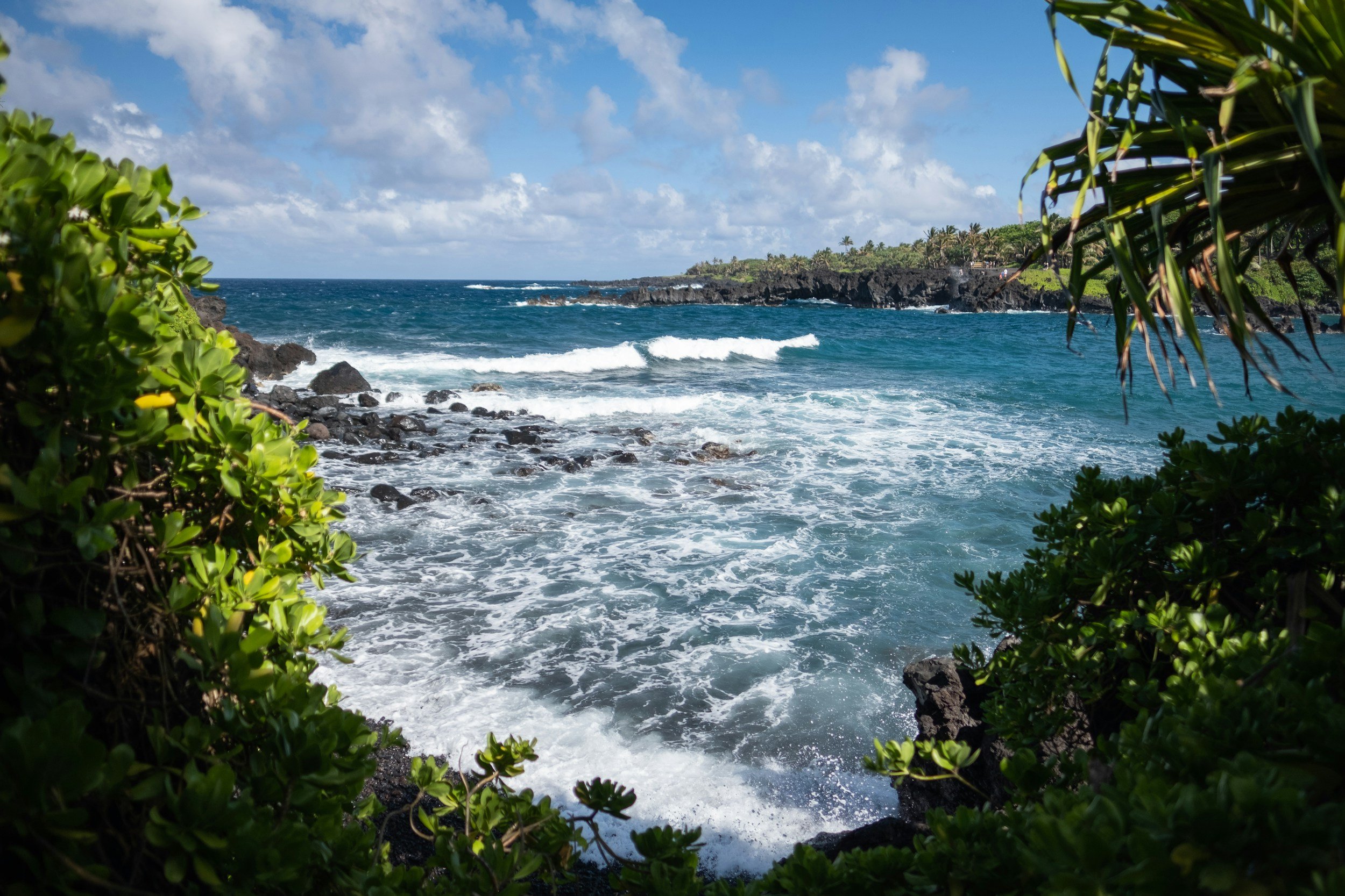 unsplash-image-Gx-0RFMIJUw.jpg