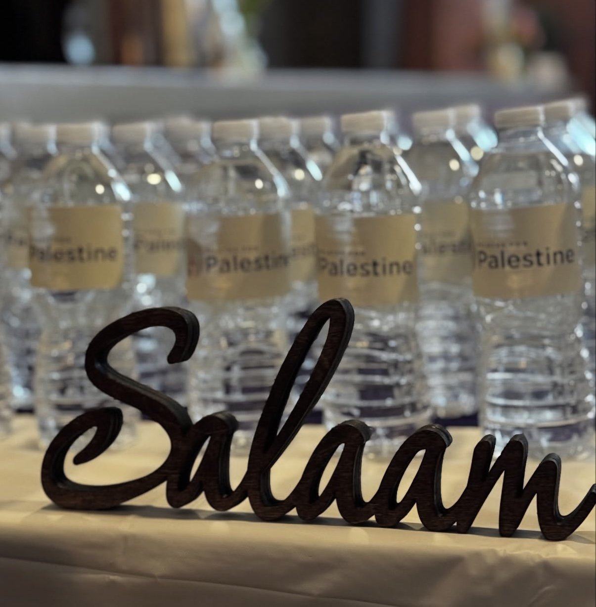 Pilates for Palestine