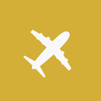 White airplane silhouette on a gold background.
