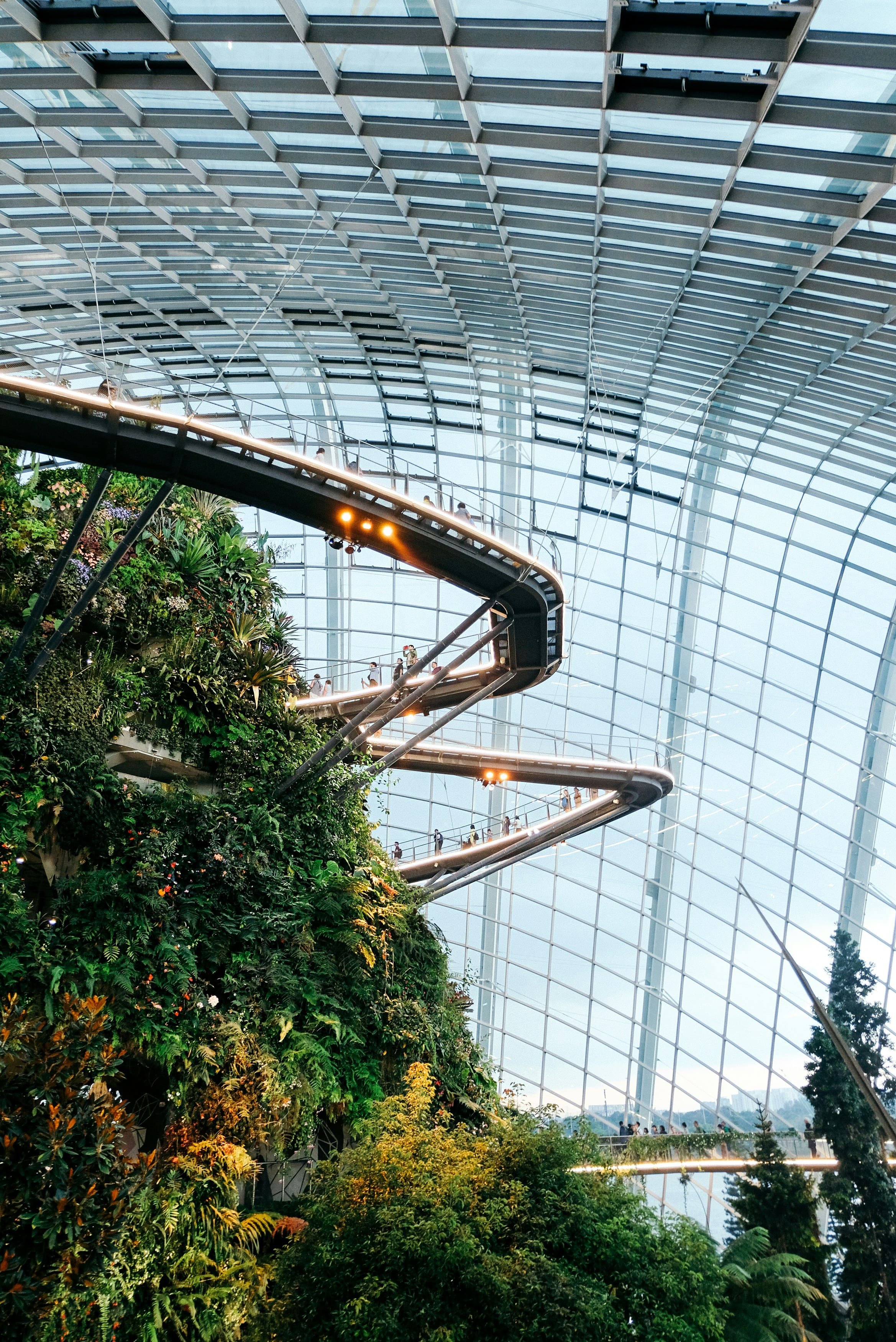 Indoor garden with a glass ceiling and a winding escalator surrounded by lush green plants.