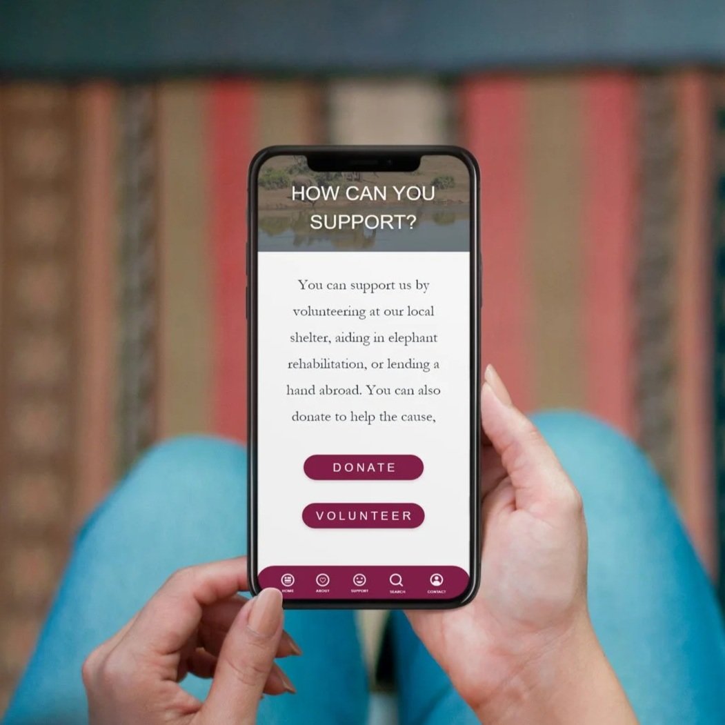 The Elephaid Foundation | UX/UI Design