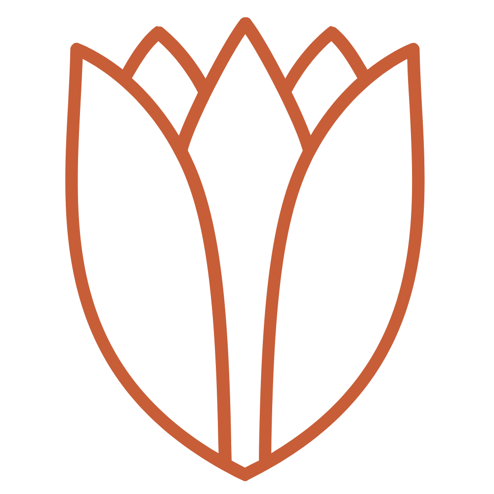A simple, stylized graphic of a tulip flower with brown outline