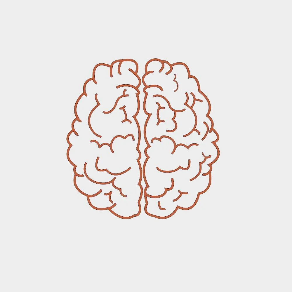 A line drawing of a human brain with symmetrical outlines and internal folds, in a brownish hue on a light background.
