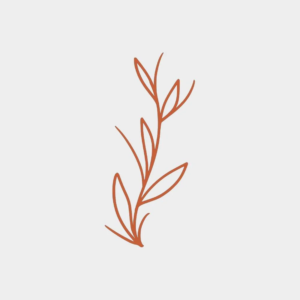 Simple line drawing of a sprig with multiple leaves.